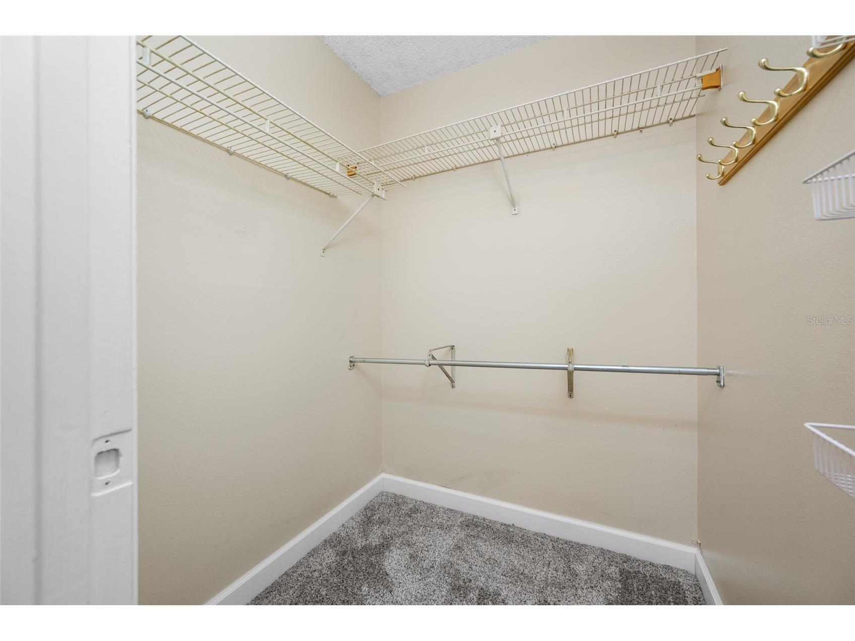 3301 Crystal Court E #D Palm Harbor FL 34685 - POND TB8506144 image19
