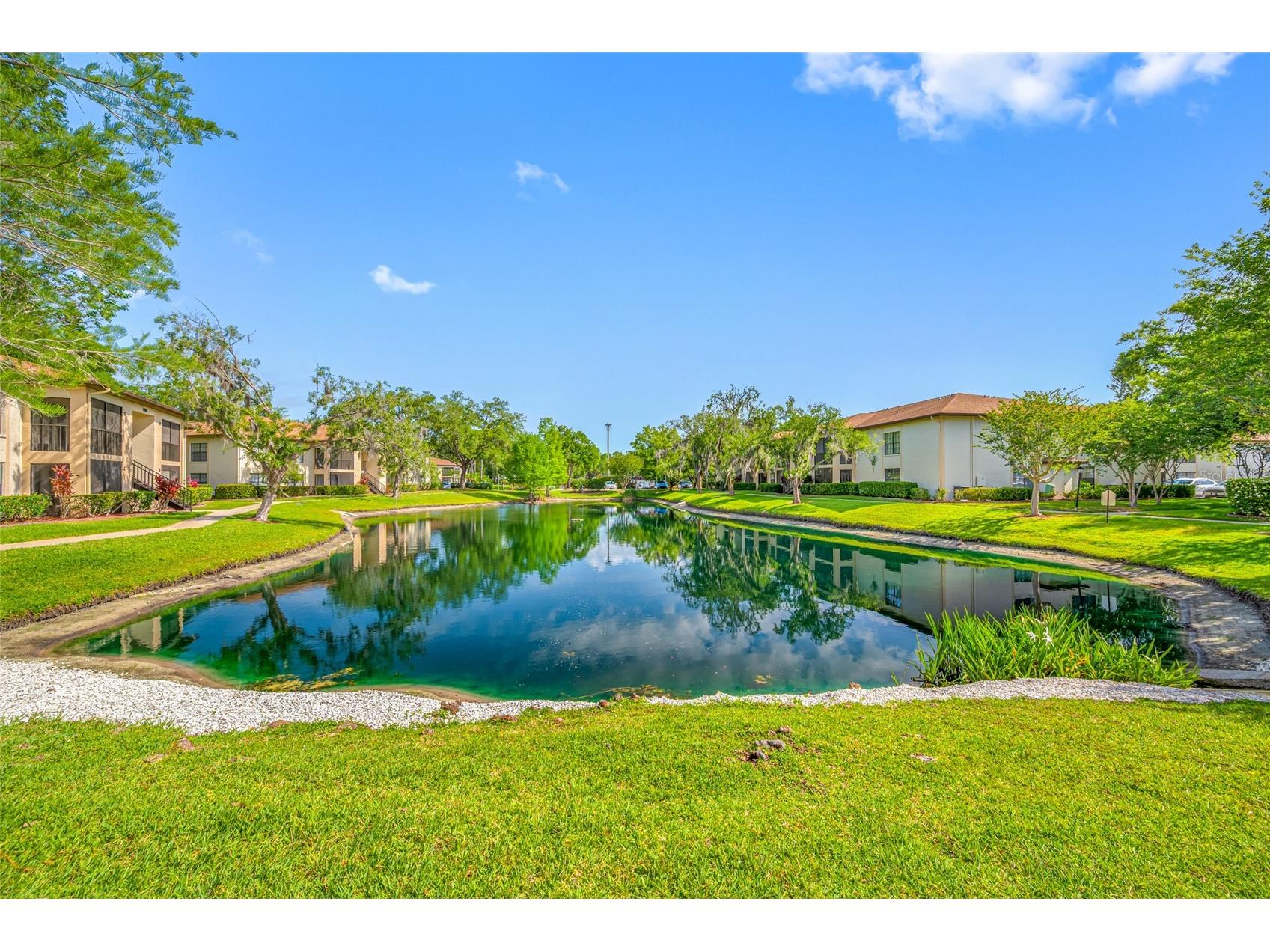 3301 Crystal Court E #D Palm Harbor FL 34685 - POND TB8506144 image2