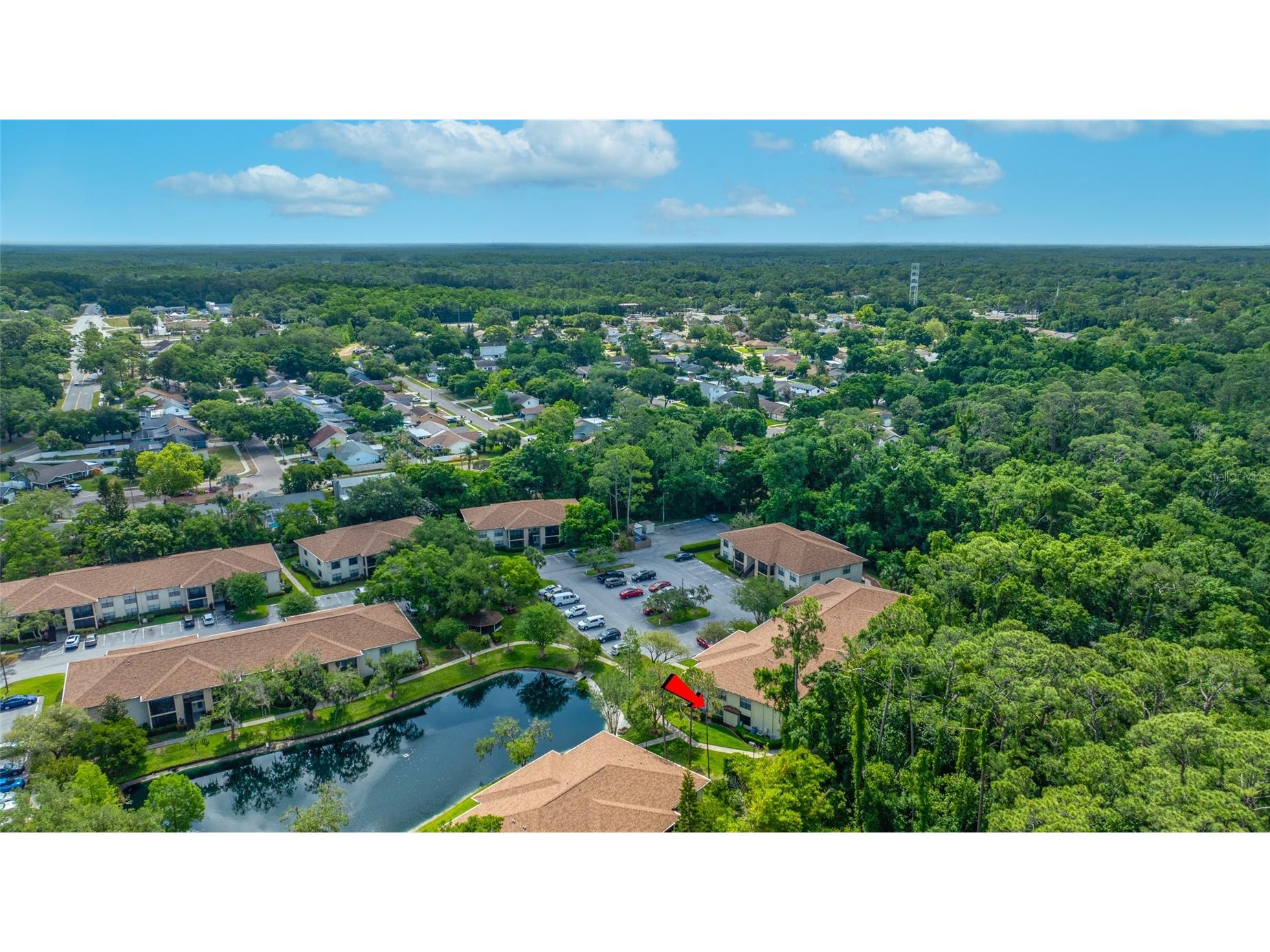 3301 Crystal Court E #D Palm Harbor FL 34685 - POND TB8506144 image34