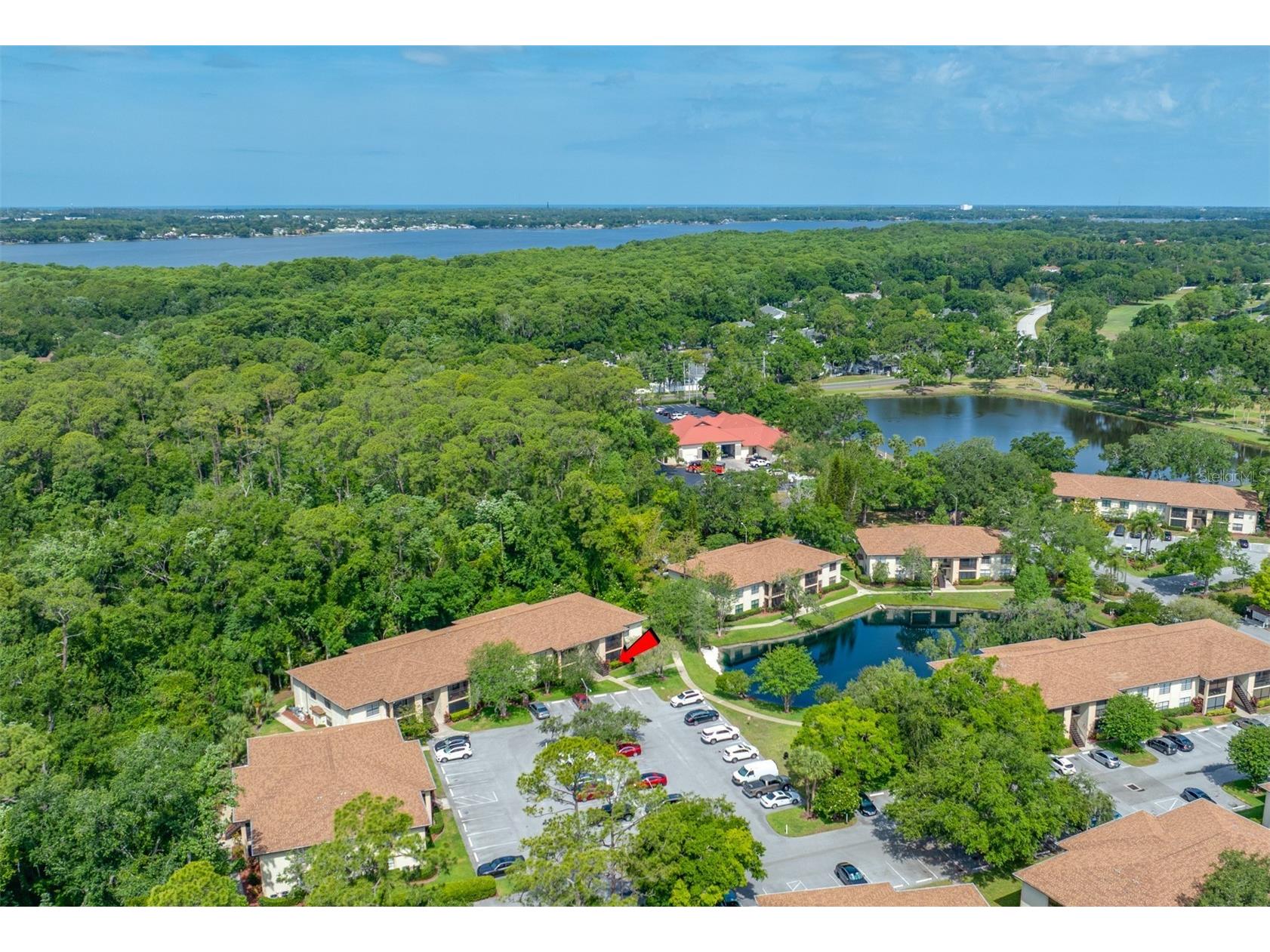 3301 Crystal Court E #D Palm Harbor FL 34685 - POND TB8506144 image35