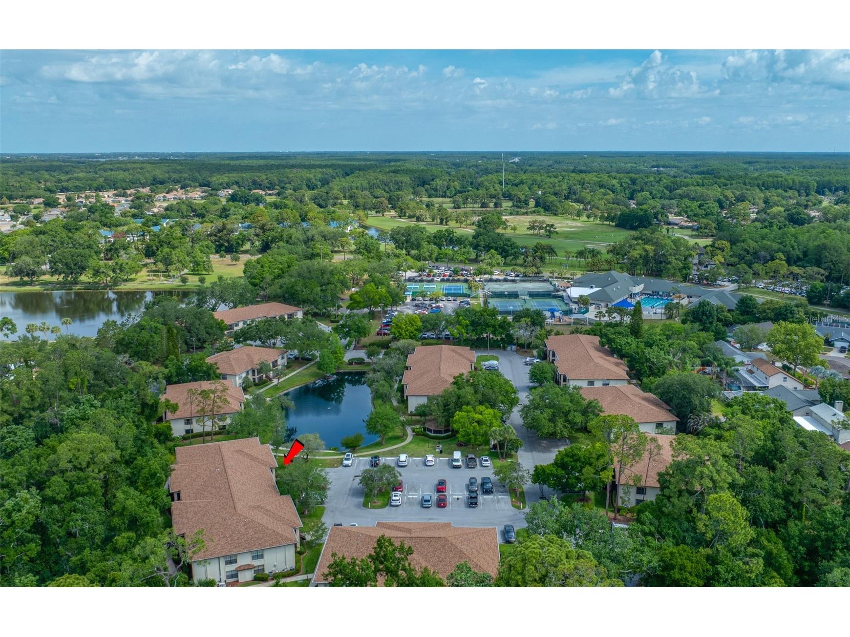 3301 Crystal Court E #D Palm Harbor FL 34685 - POND TB8506144 image36