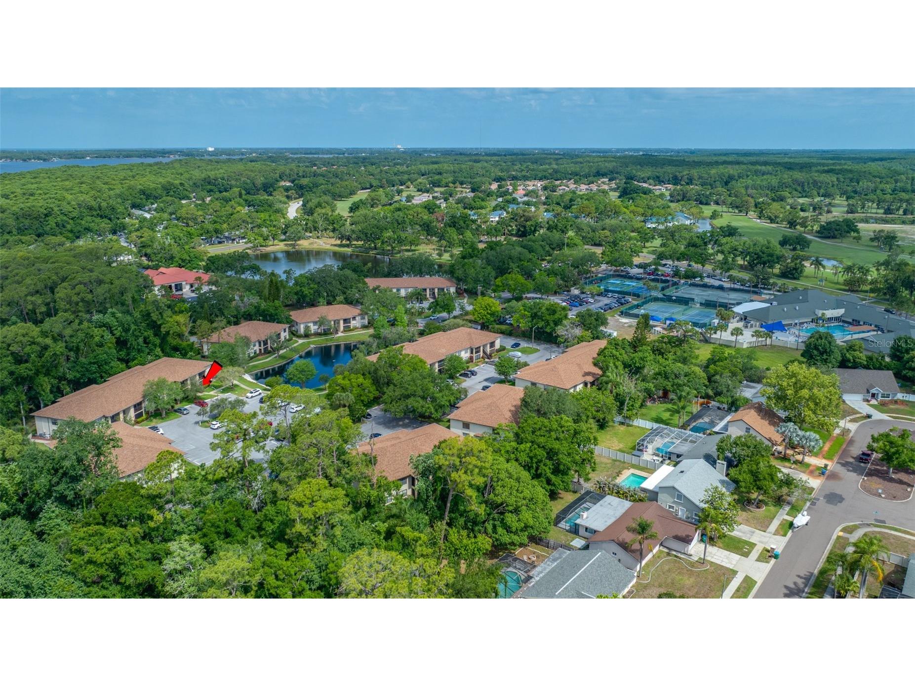 3301 Crystal Court E #D Palm Harbor FL 34685 - POND TB8506144 image37