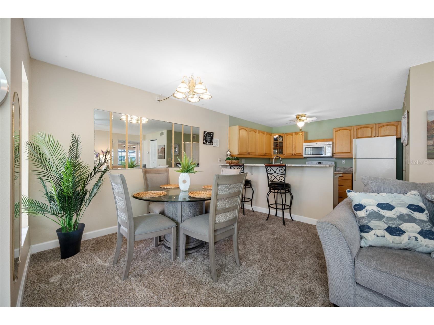 3301 Crystal Court E #D Palm Harbor FL 34685 - POND TB8506144 image4