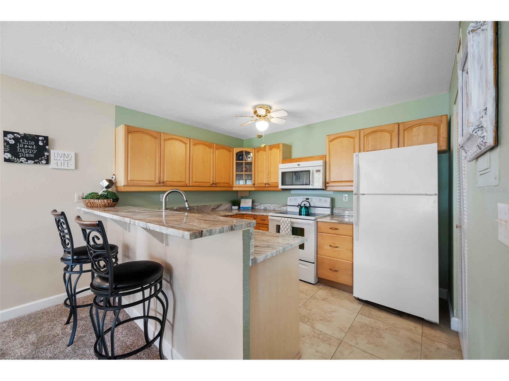 3301 Crystal Court E #D Palm Harbor FL 34685 - POND TB8506144 image8