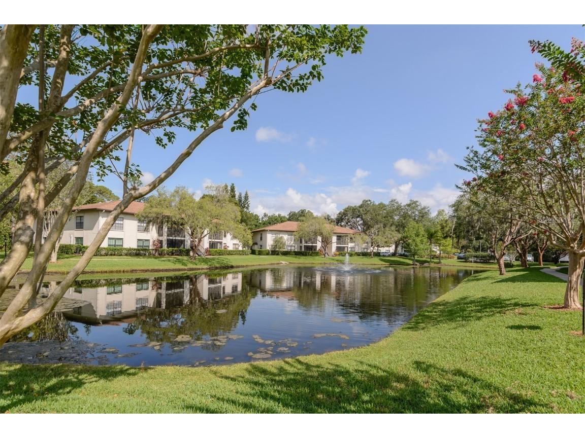 3301 Crystal Court E #F Palm Harbor FL 34685 U8207507 image1