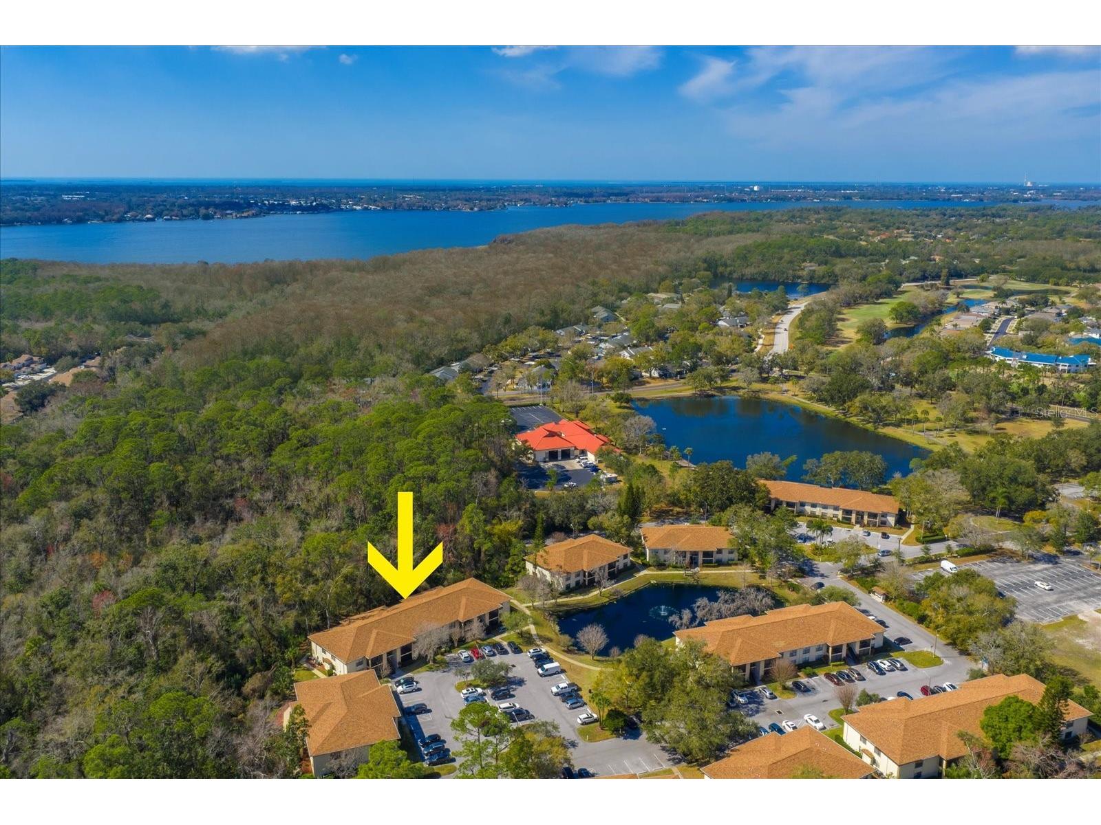 3301 Crystal Court E #UNIT M Palm Harbor FL 34685 TB8477314 image1