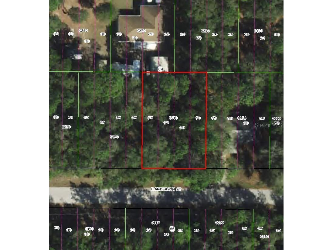 3301 E Anderson Street Inverness FL 34453 TB8499976 image1