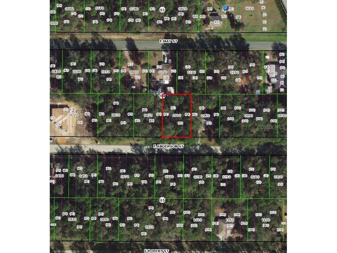 3301 E Anderson Street Inverness FL 34453 TB8499976 image2