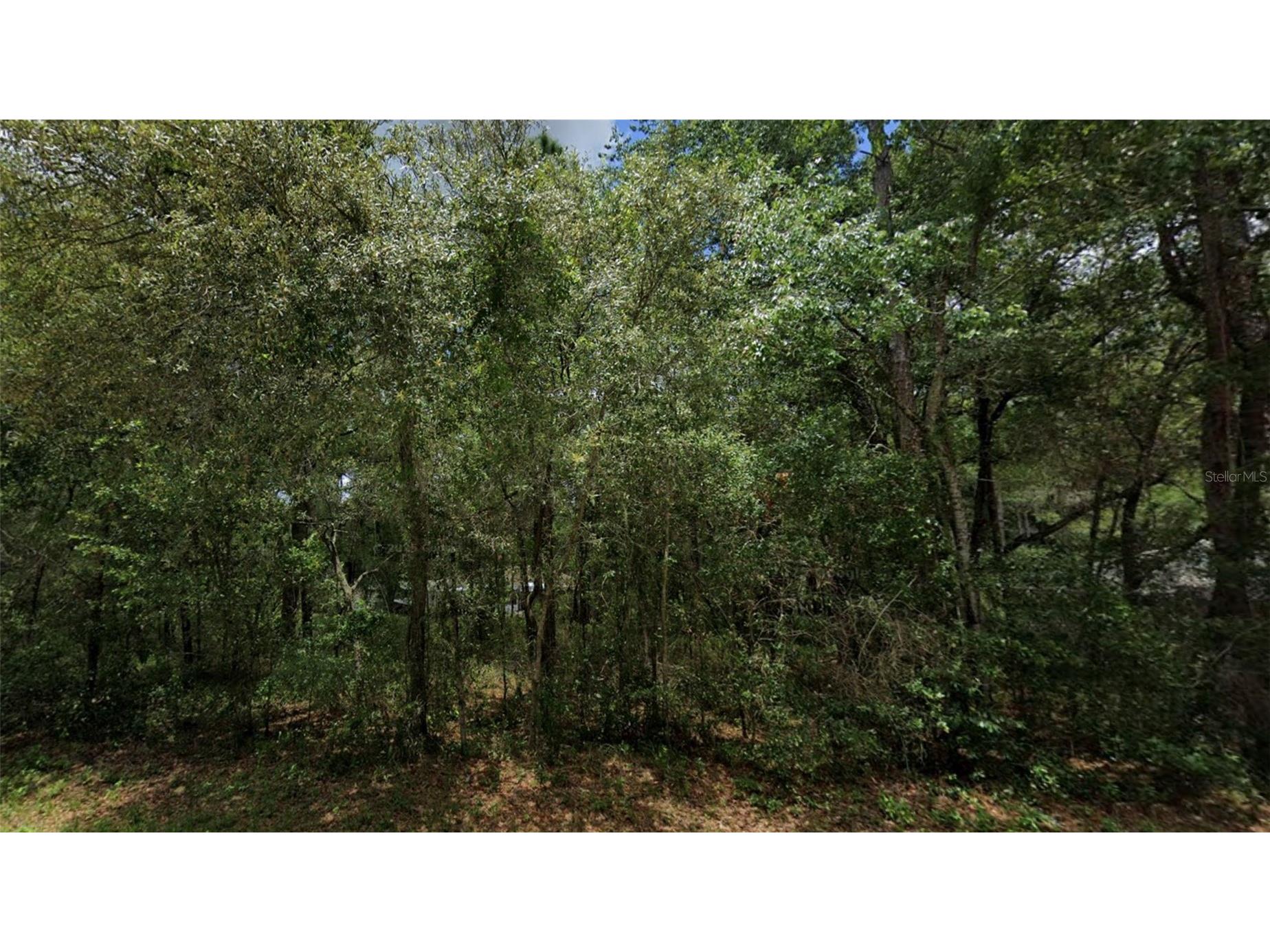3301 E Anderson Street Inverness FL 34453 TB8499976 image3
