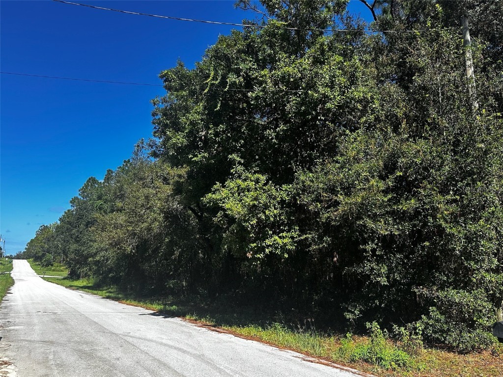 3301 E Anderson Street Inverness FL 34453 W7878749 image1