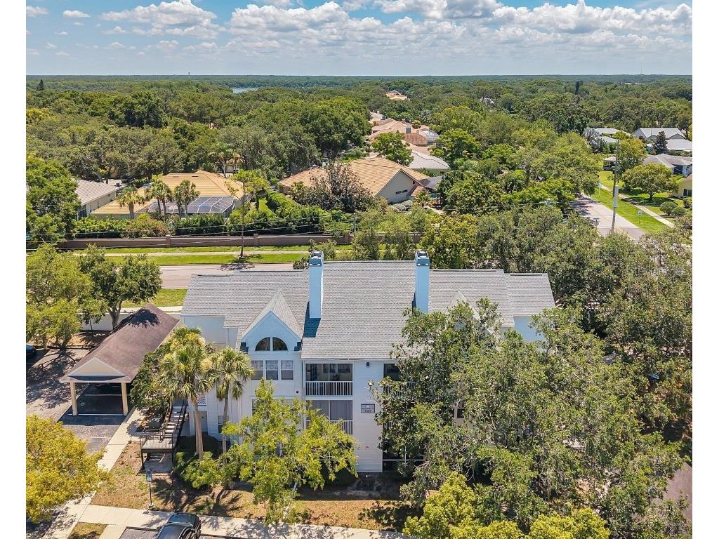 3301 Haviland Ct #301 Palm Harbor FL 34684 TB8398667 image1