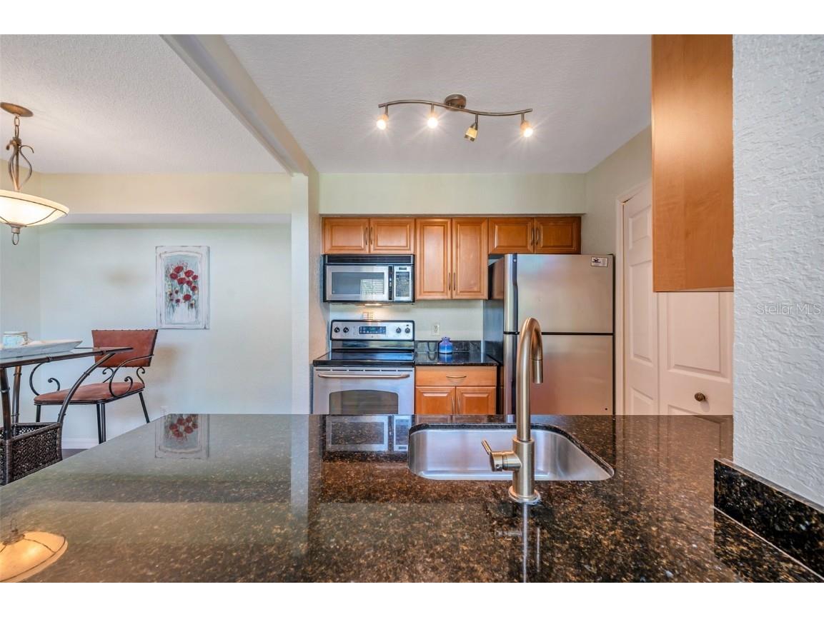 3301 Haviland Ct #301 Palm Harbor FL 34684 TB8398667 image16