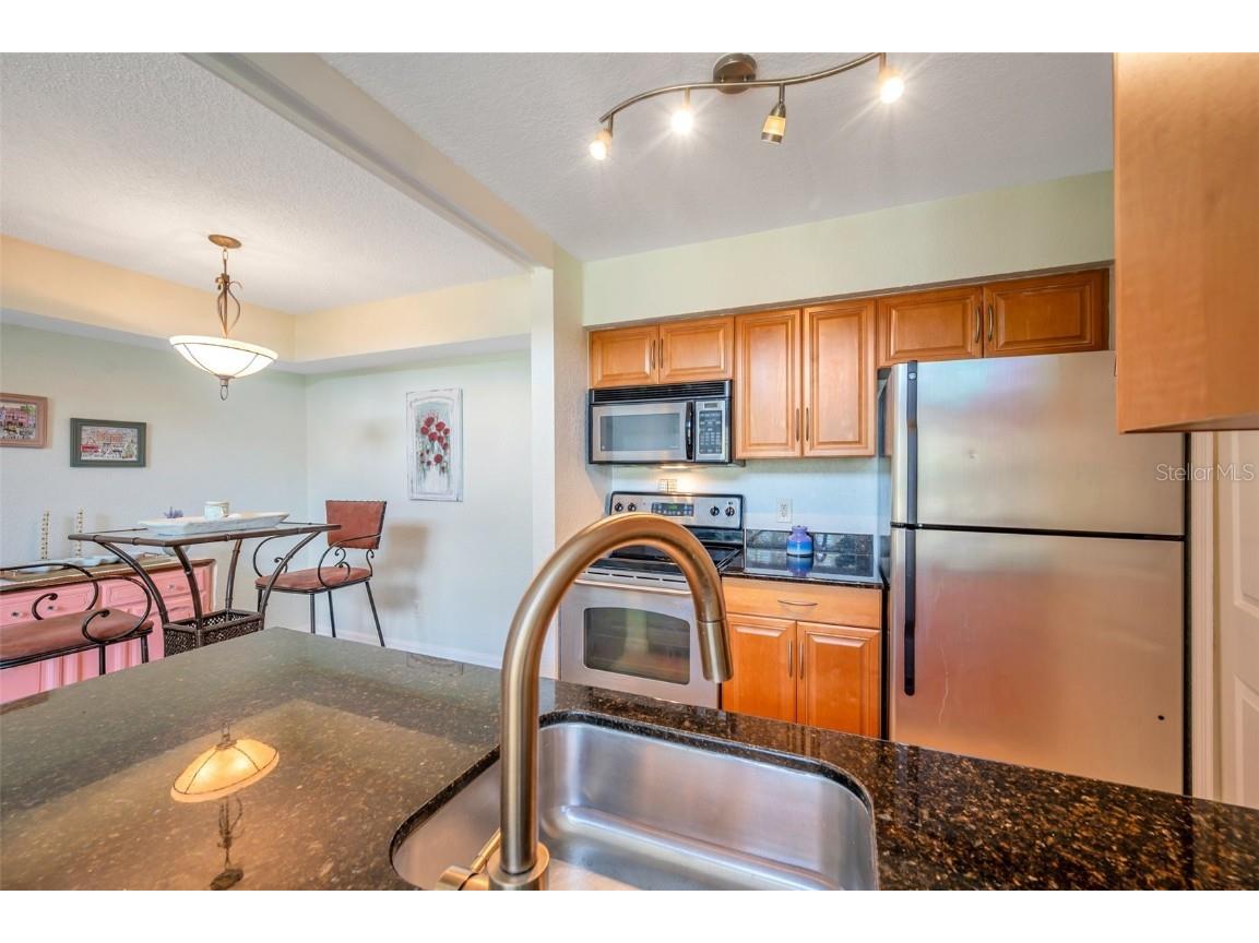 3301 Haviland Ct #301 Palm Harbor FL 34684 TB8398667 image18