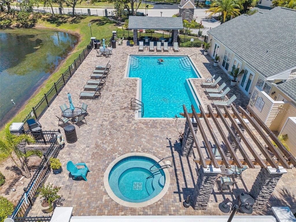 3301 Haviland Ct #301 Palm Harbor FL 34684 TB8398667 image3