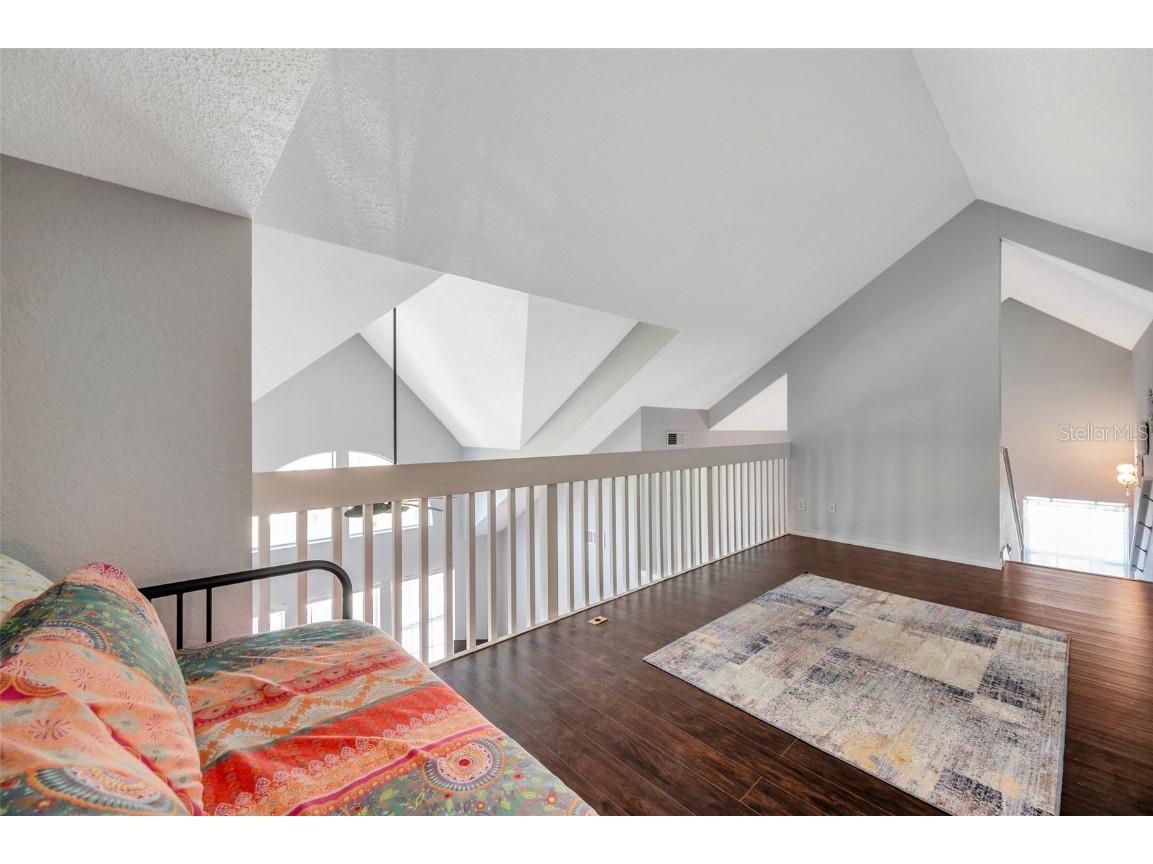 3301 Haviland Ct #301 Palm Harbor FL 34684 TB8398667 image32