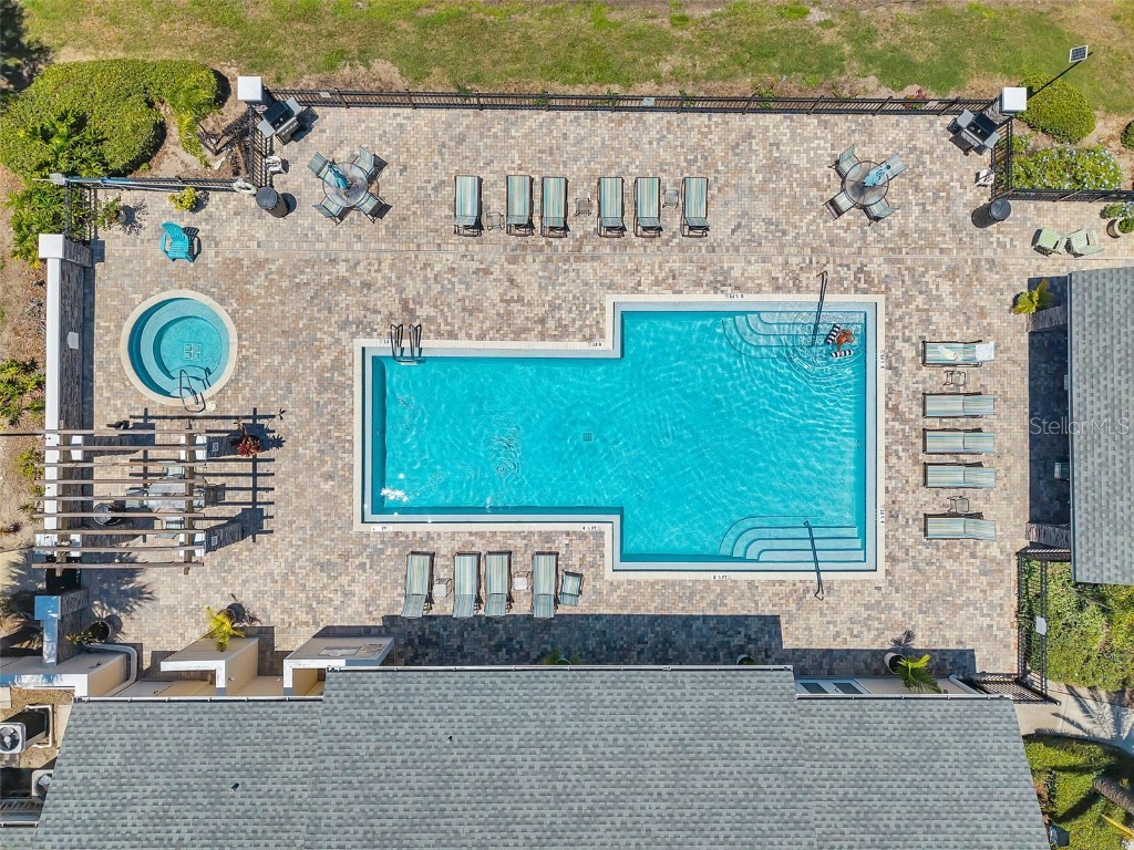 3301 Haviland Ct #301 Palm Harbor FL 34684 TB8398667 image34