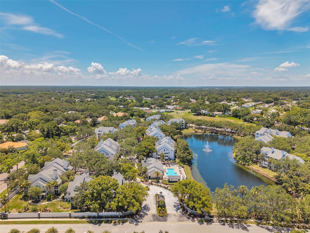 3301 Haviland Ct #301 Palm Harbor FL 34684 TB8398667 image36