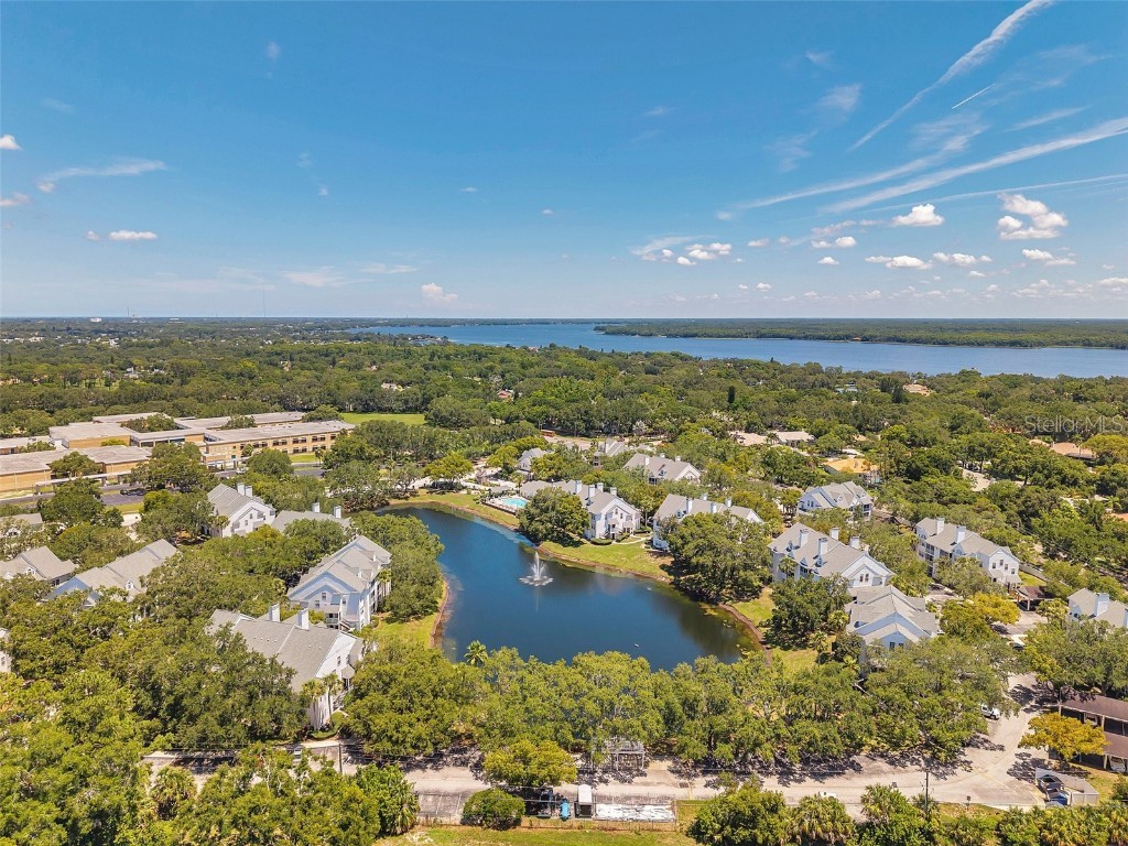 3301 Haviland Ct #301 Palm Harbor FL 34684 TB8398667 image37