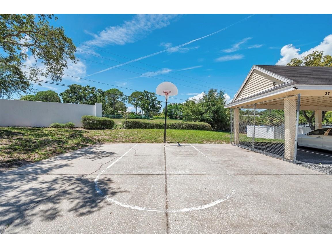 3301 Haviland Ct #301 Palm Harbor FL 34684 TB8398667 image38