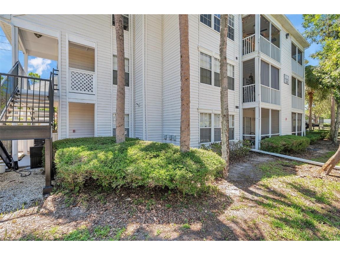 3301 Haviland Ct #301 Palm Harbor FL 34684 TB8398667 image4