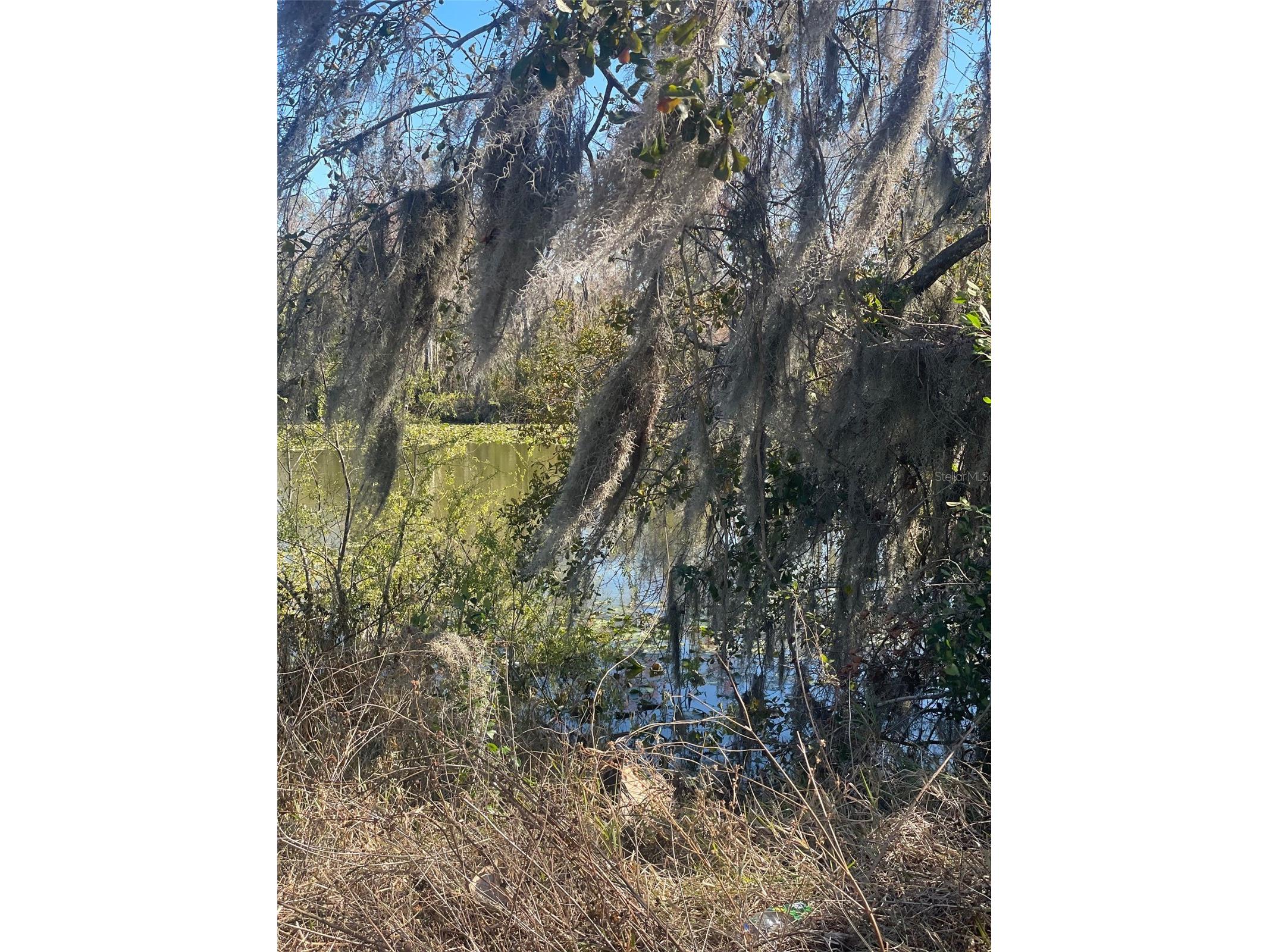 3301 N Lake Drive Plant City FL 33563 A4678691 image1