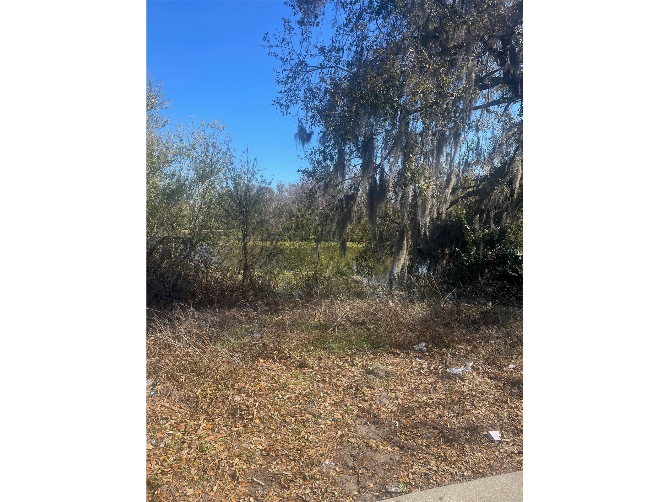 3301 N Lake Drive Plant City FL 33563 A4678691 image2