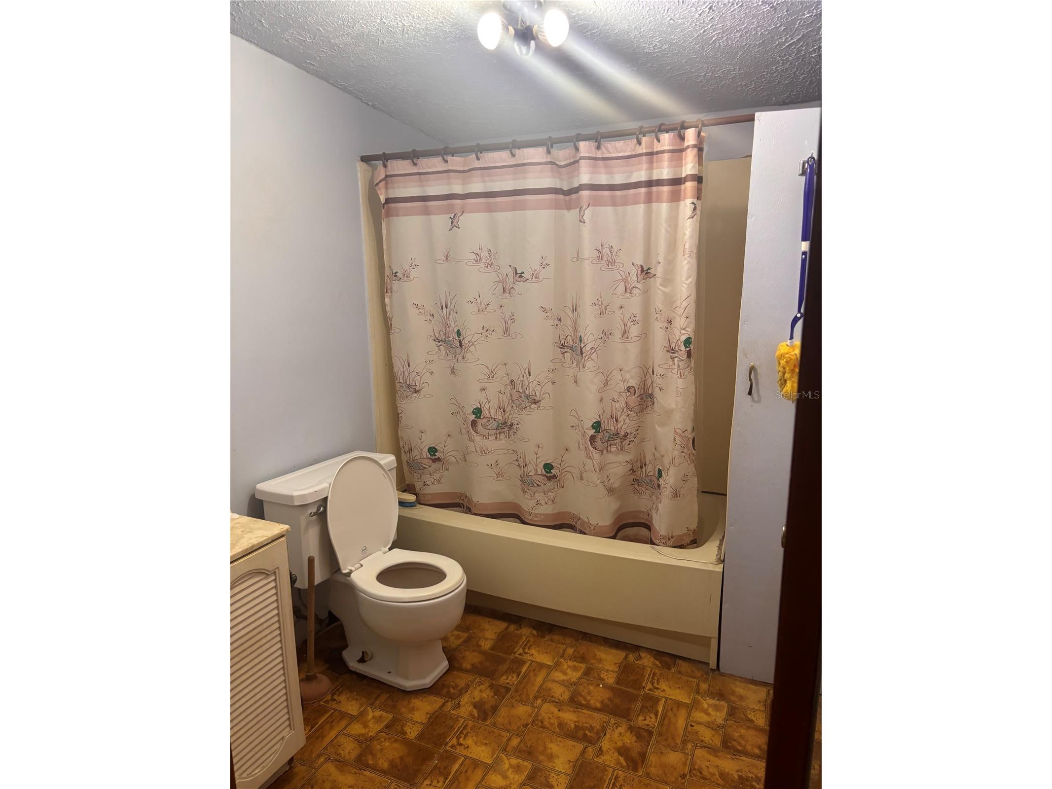 3301 NE 162nd Street Citra FL 32113 OM727083 image15