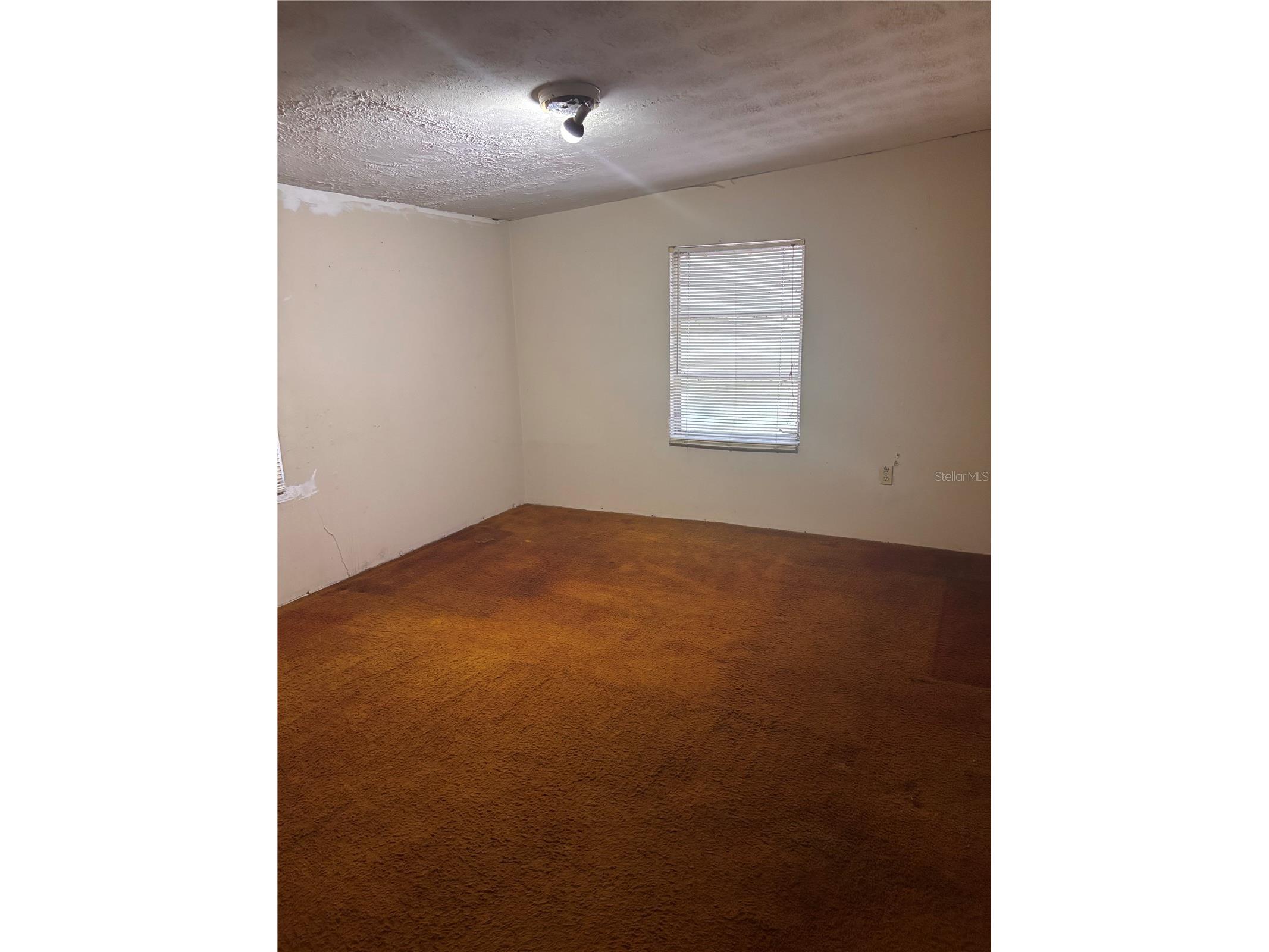 3301 NE 162nd Street Citra FL 32113 OM727083 image16