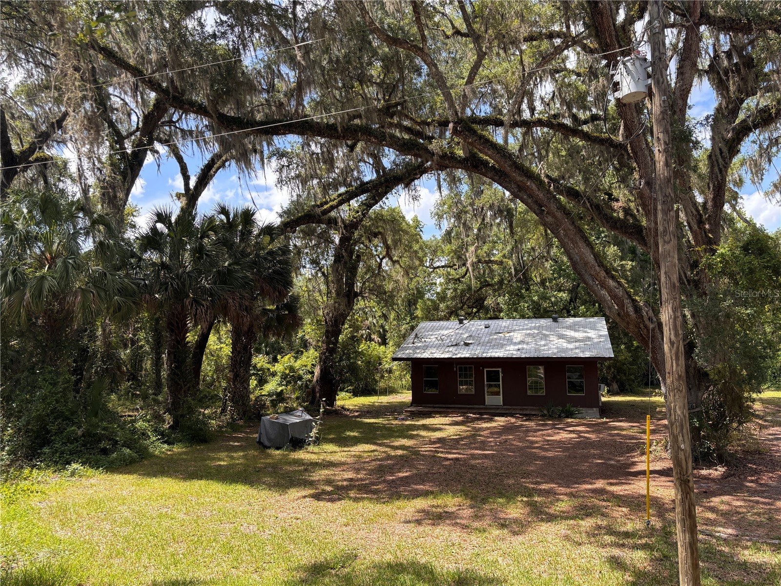 3301 NE 162nd Street Citra FL 32113 OM727083 image2