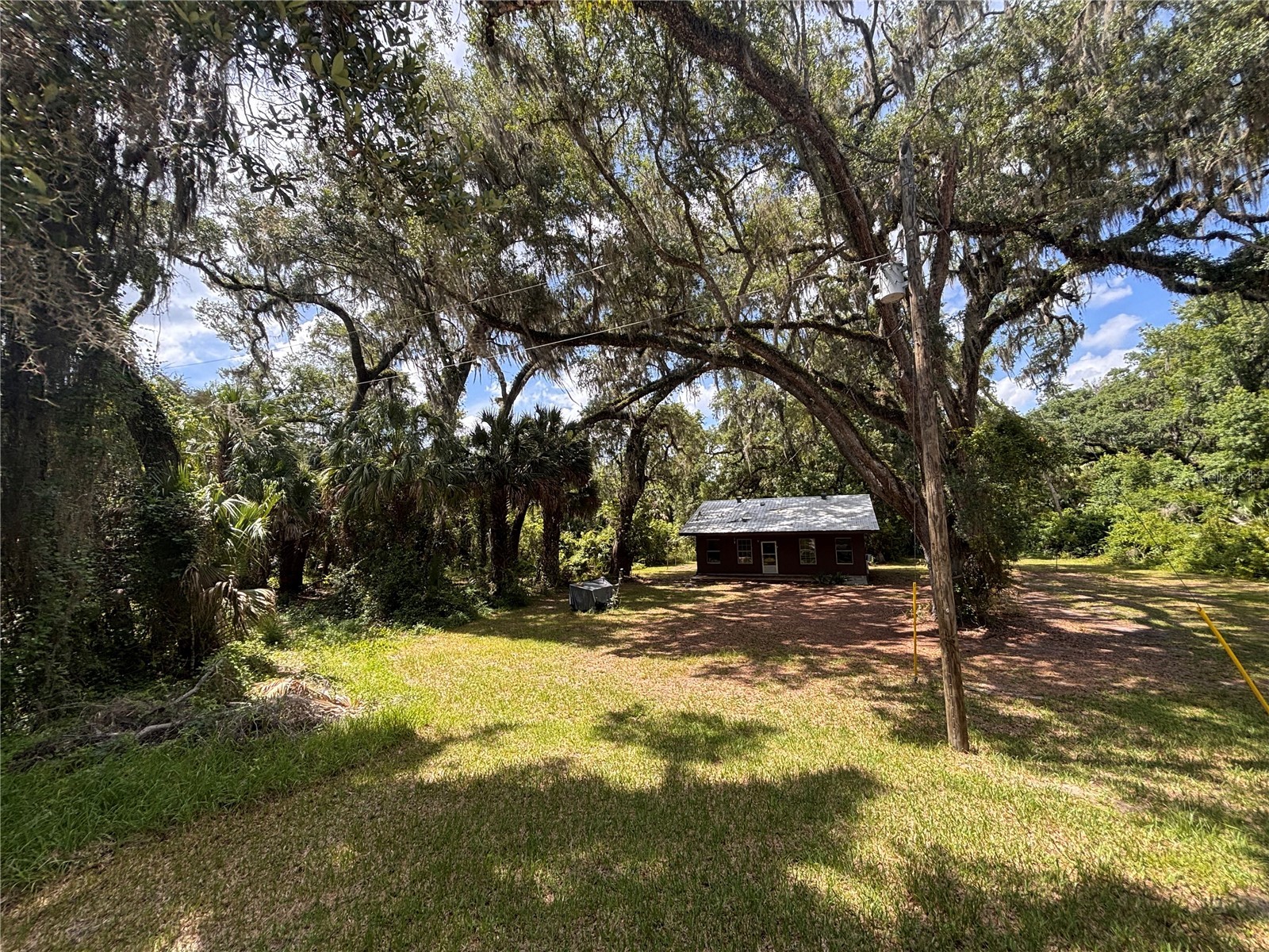 3301 NE 162nd Street Citra FL 32113 OM727083 image3