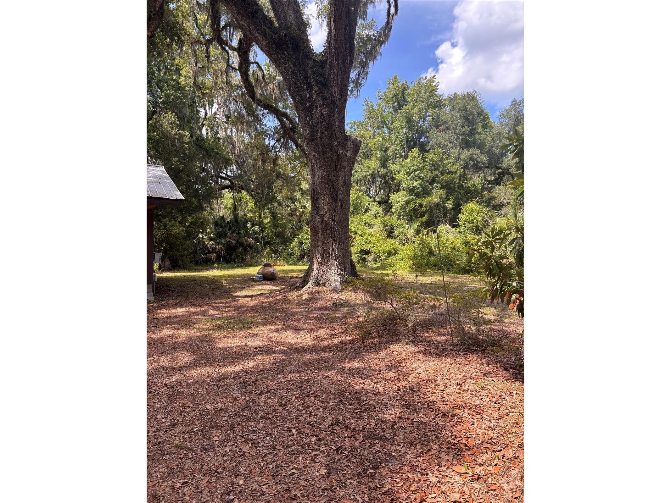 3301 NE 162nd Street Citra FL 32113 OM727083 image6