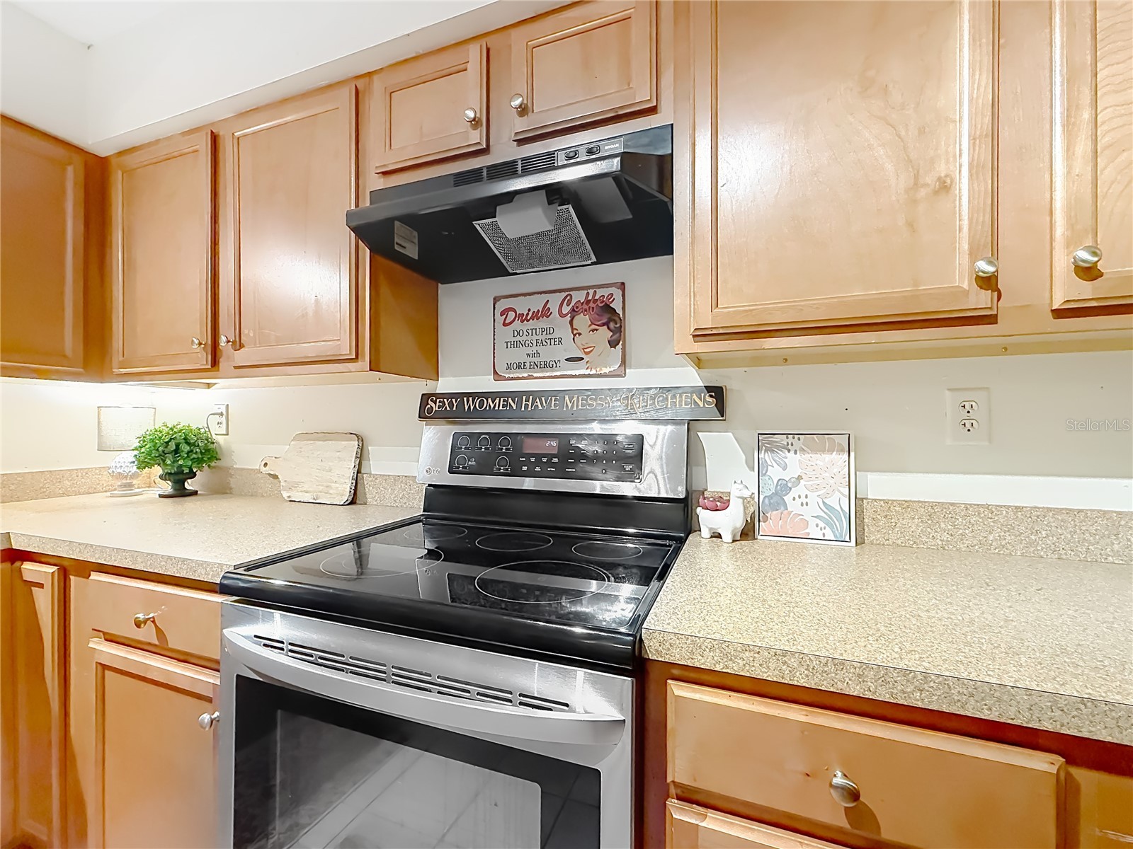 3301 SE 34th Street Ocala FL 34471 OM722578 image8