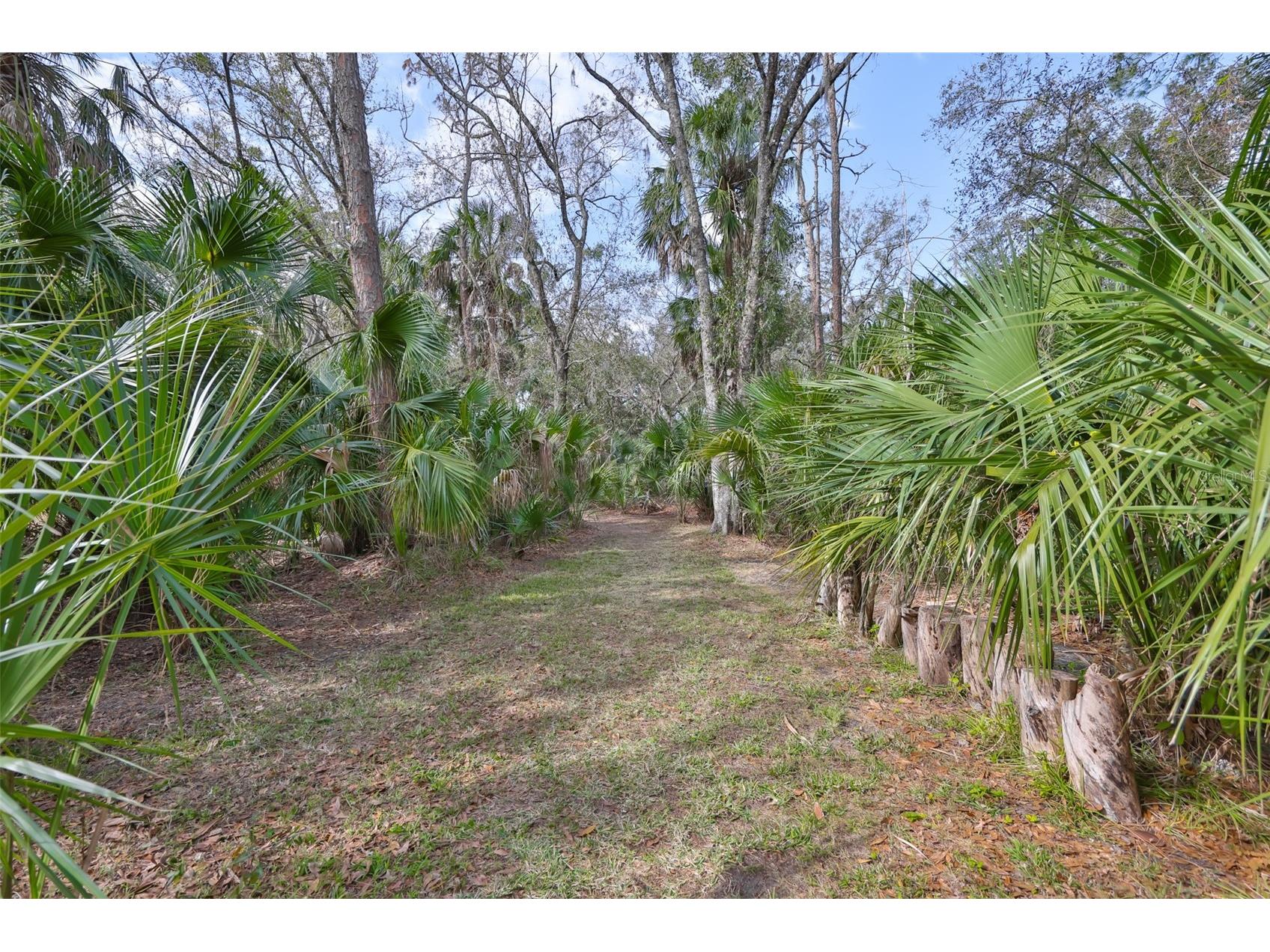 3301 Timberlee Road Wimauma FL 33598 TB8430437 image67