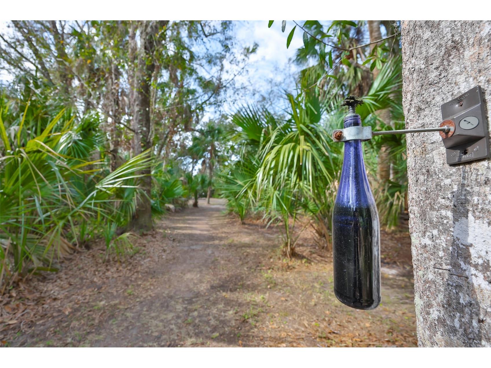 3301 Timberlee Road Wimauma FL 33598 TB8430437 image68