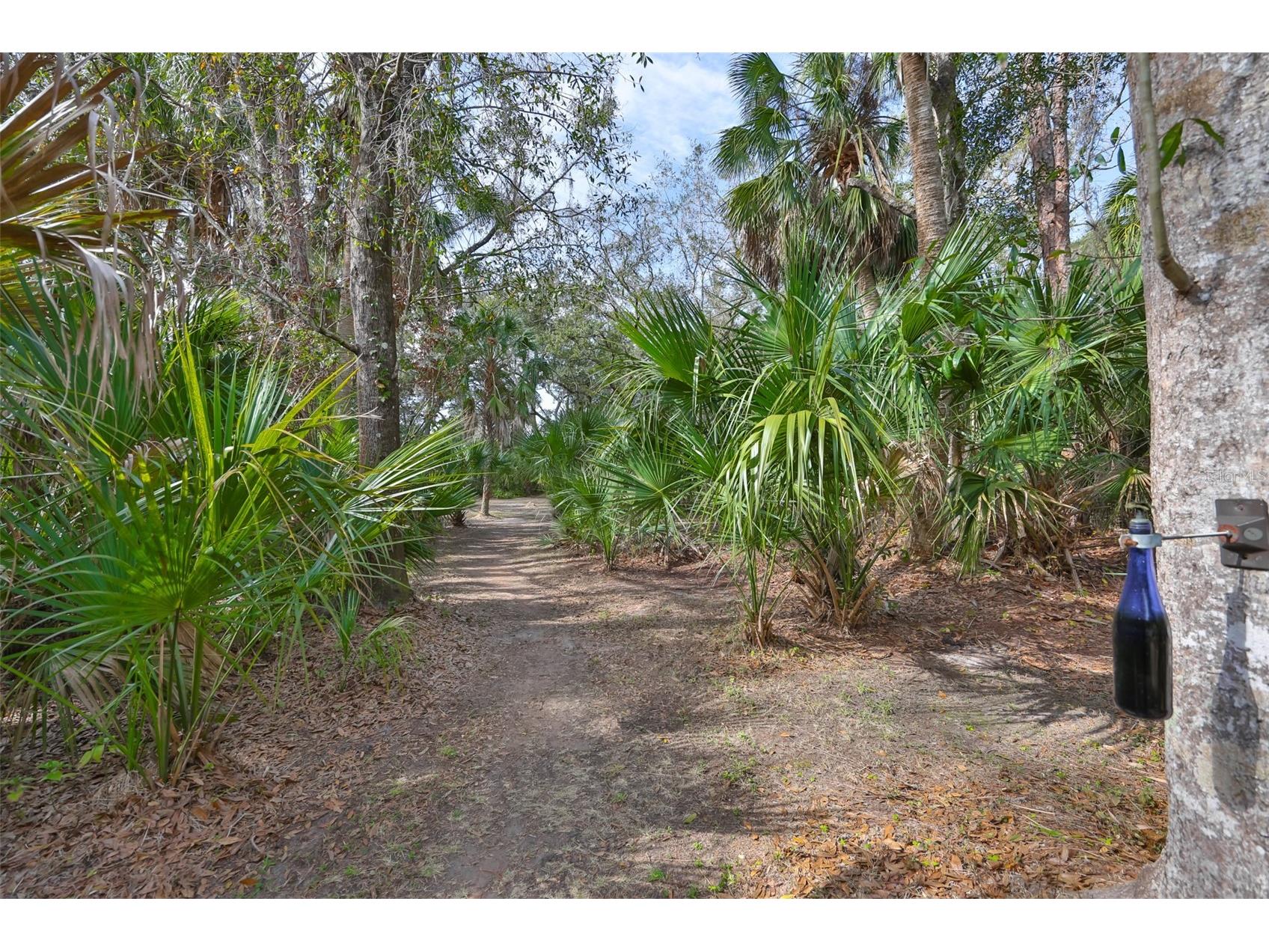 3301 Timberlee Road Wimauma FL 33598 TB8430437 image69