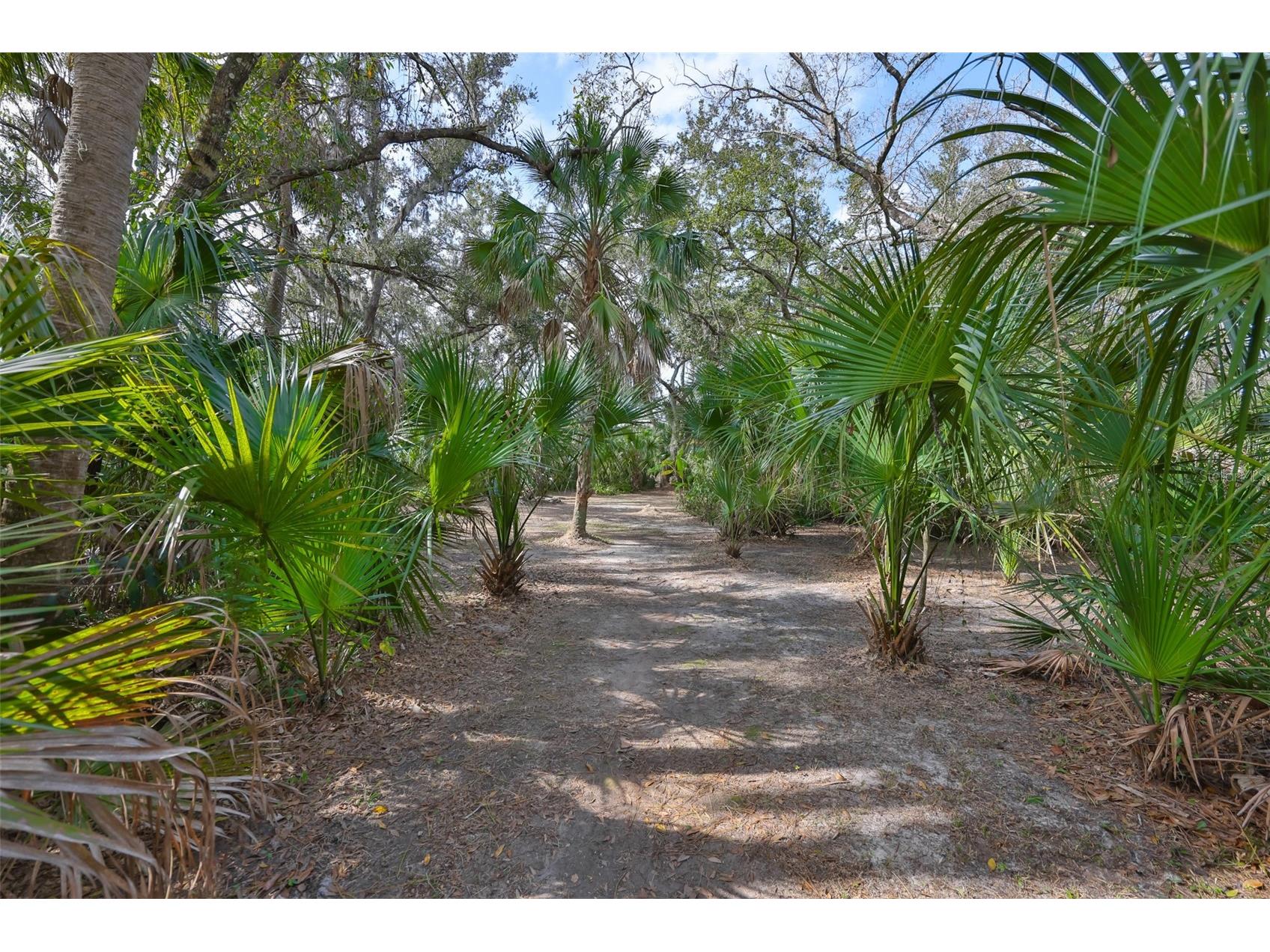 3301 Timberlee Road Wimauma FL 33598 TB8430437 image70