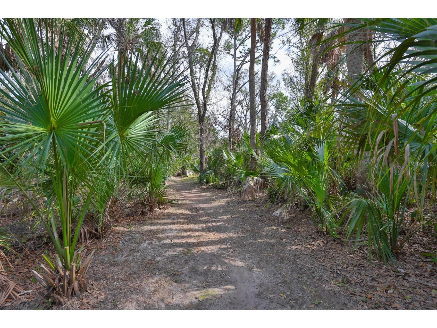 3301 Timberlee Road Wimauma FL 33598 TB8430437 image71