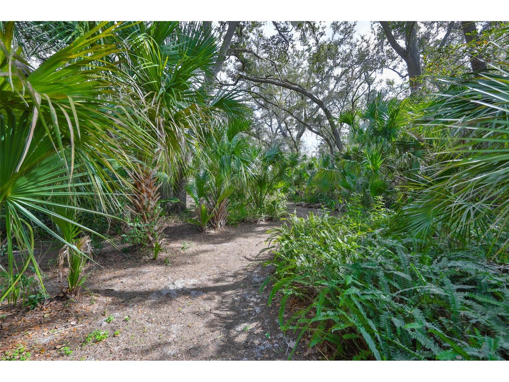 3301 Timberlee Road Wimauma FL 33598 TB8430437 image75