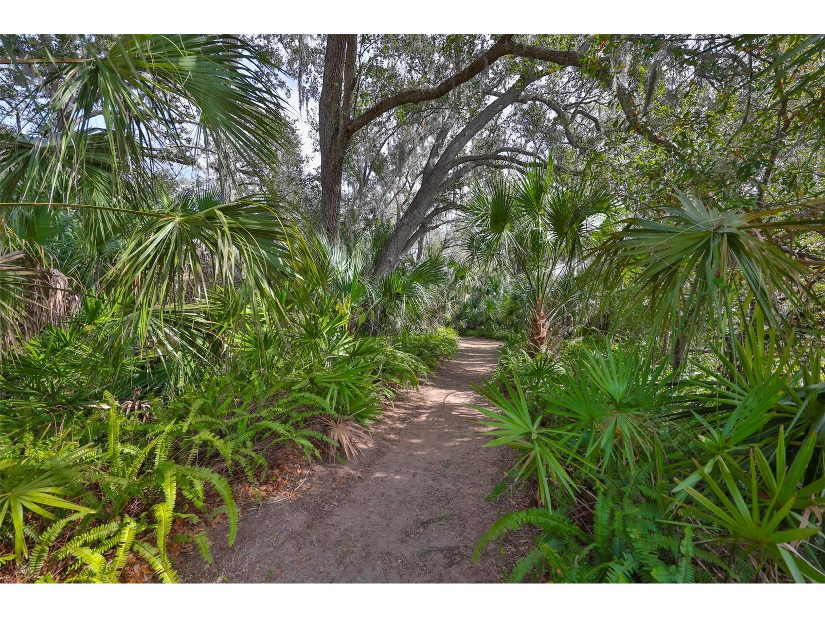 3301 Timberlee Road Wimauma FL 33598 TB8430437 image79