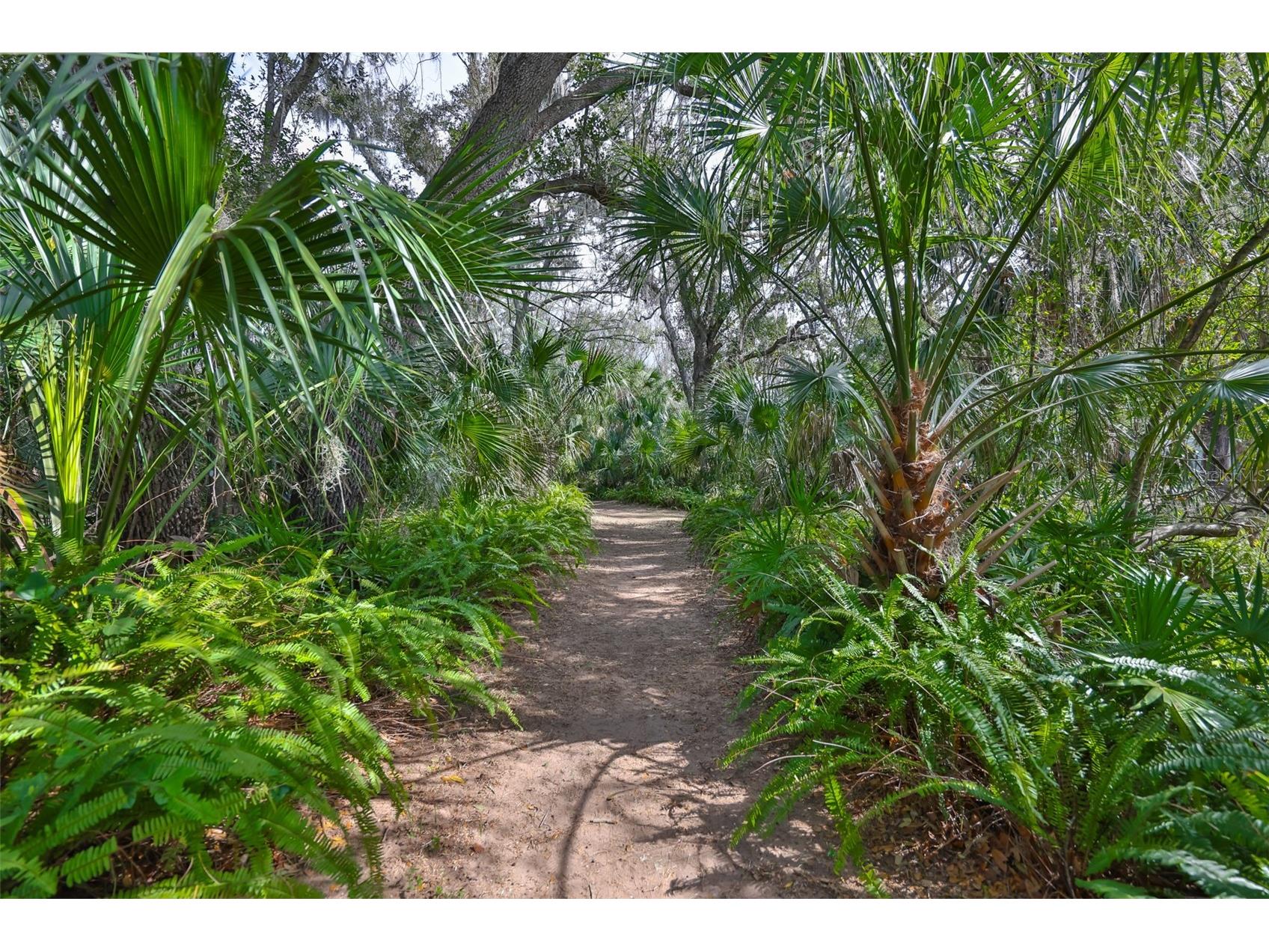 3301 Timberlee Road Wimauma FL 33598 TB8430437 image80