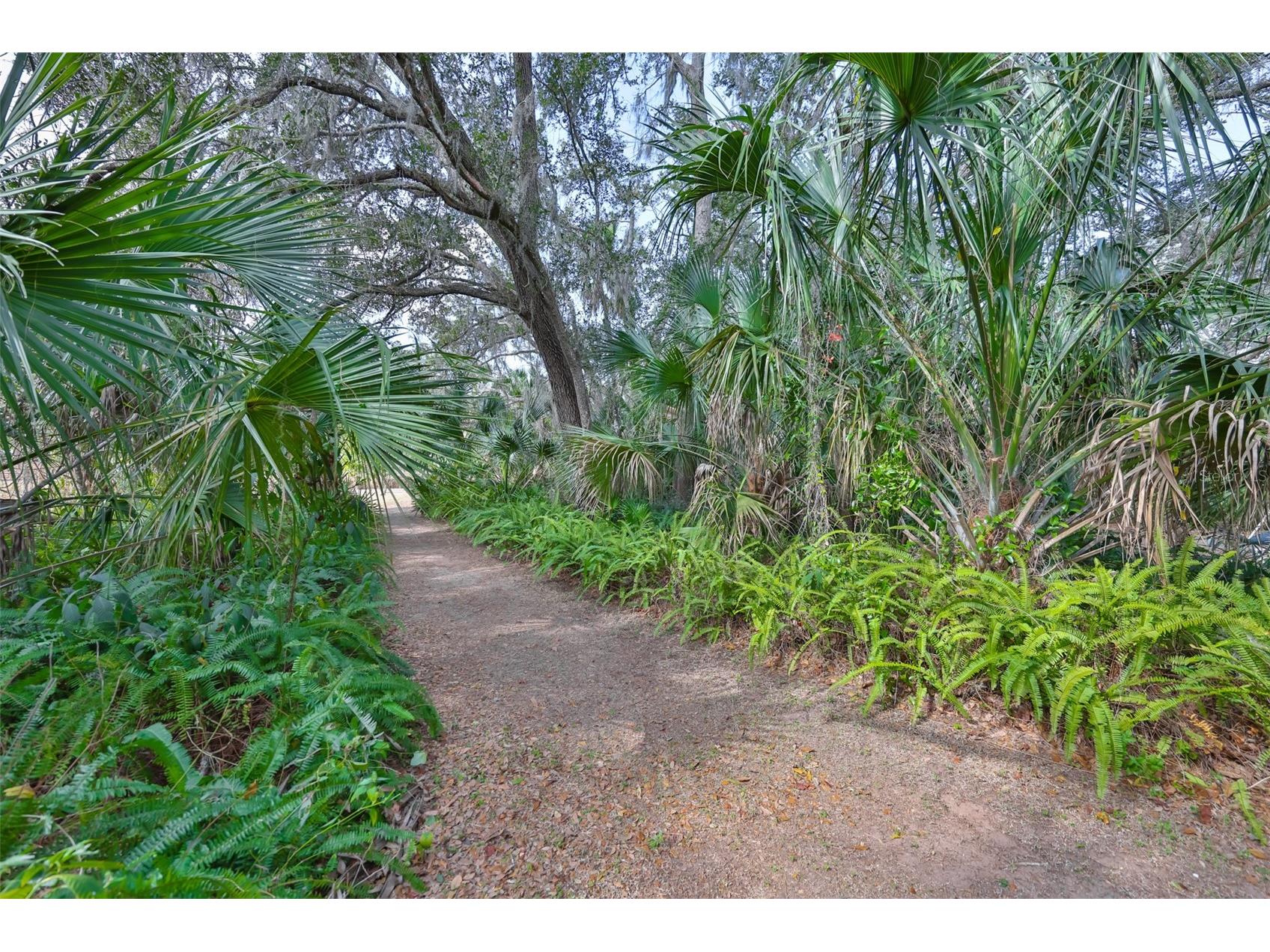 3301 Timberlee Road Wimauma FL 33598 TB8430437 image81