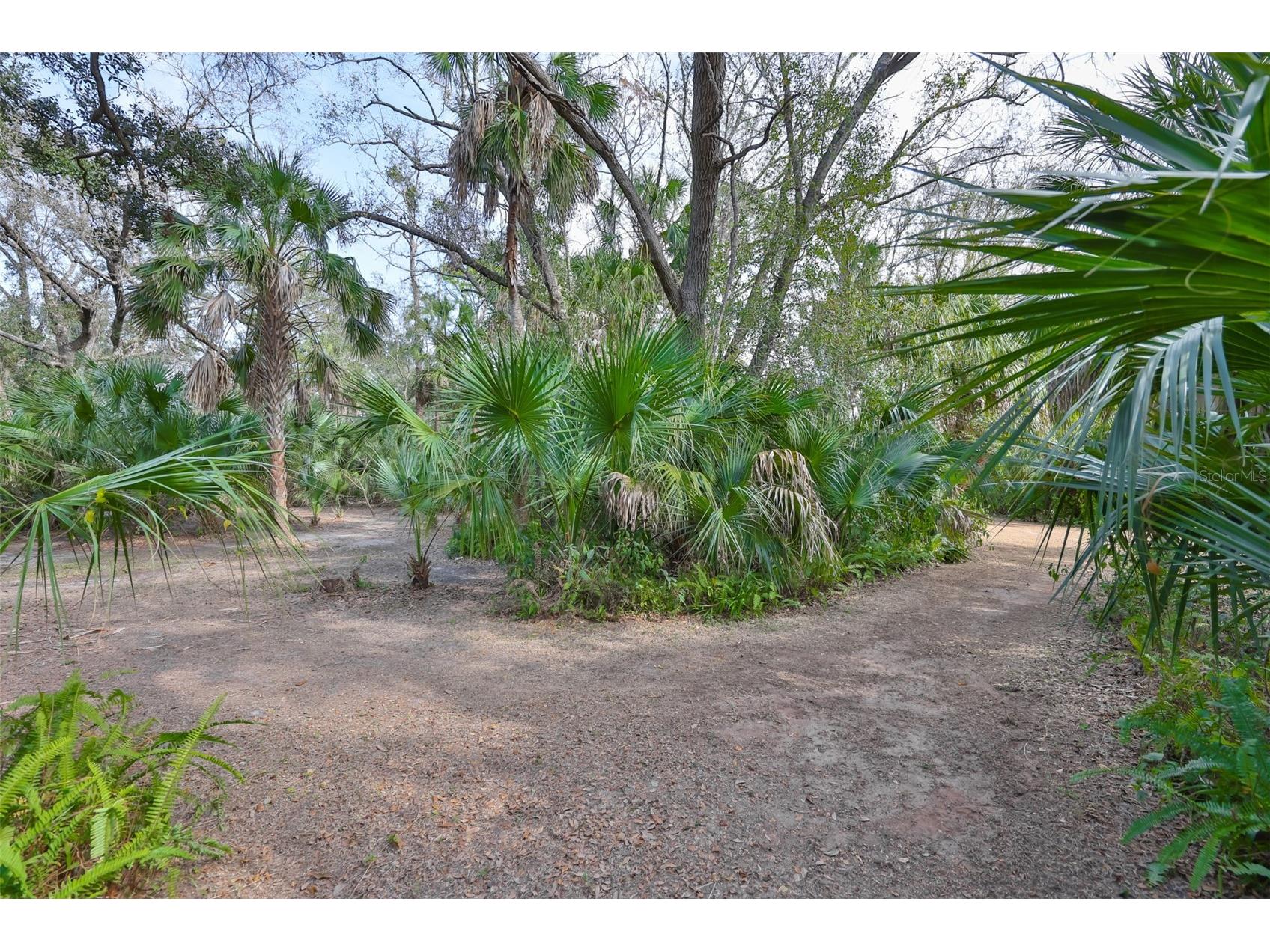 3301 Timberlee Road Wimauma FL 33598 TB8430437 image82