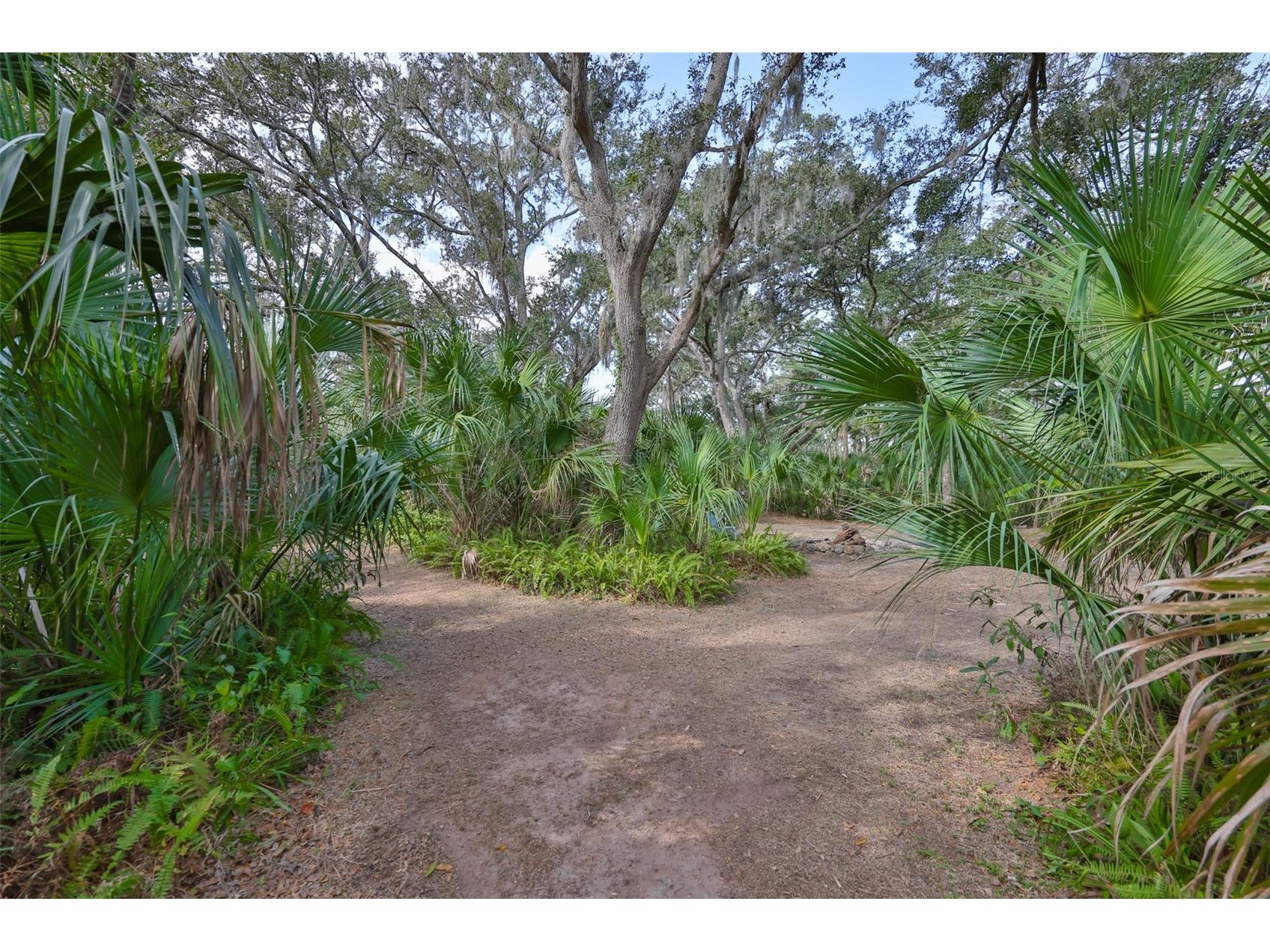 3301 Timberlee Road Wimauma FL 33598 TB8430437 image83