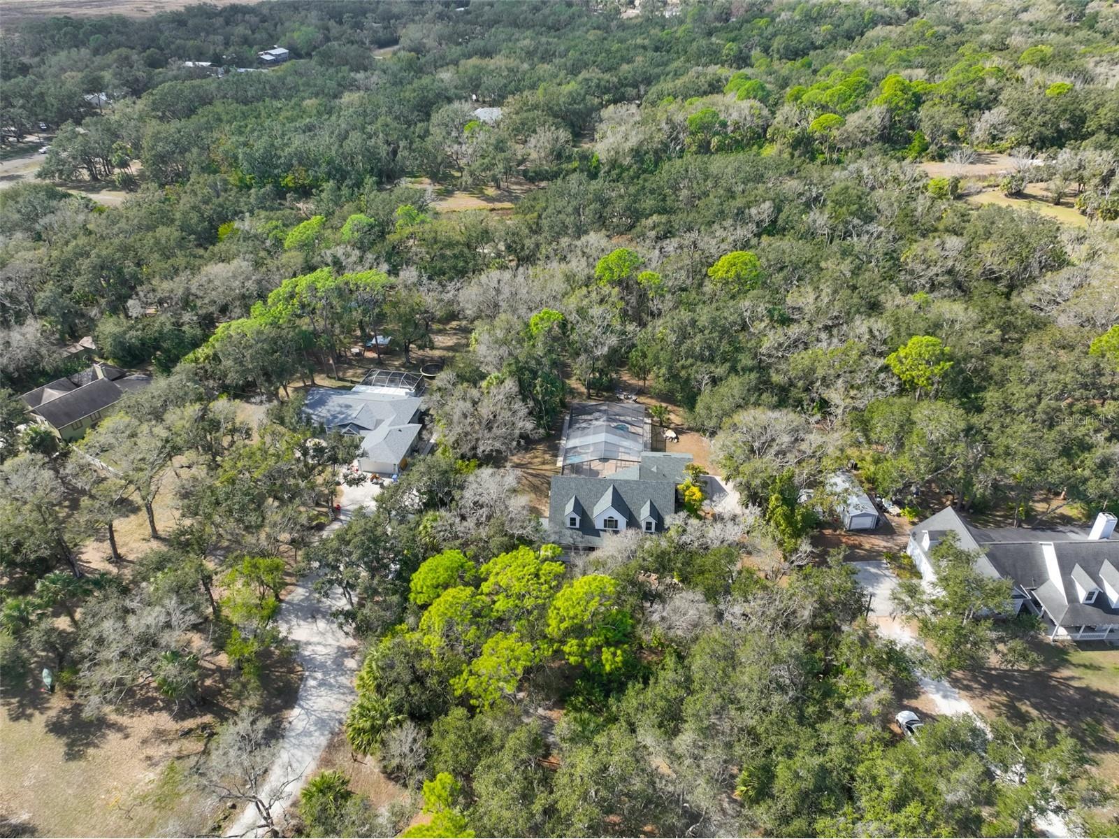 3301 Timberlee Road Wimauma FL 33598 TB8430437 image87