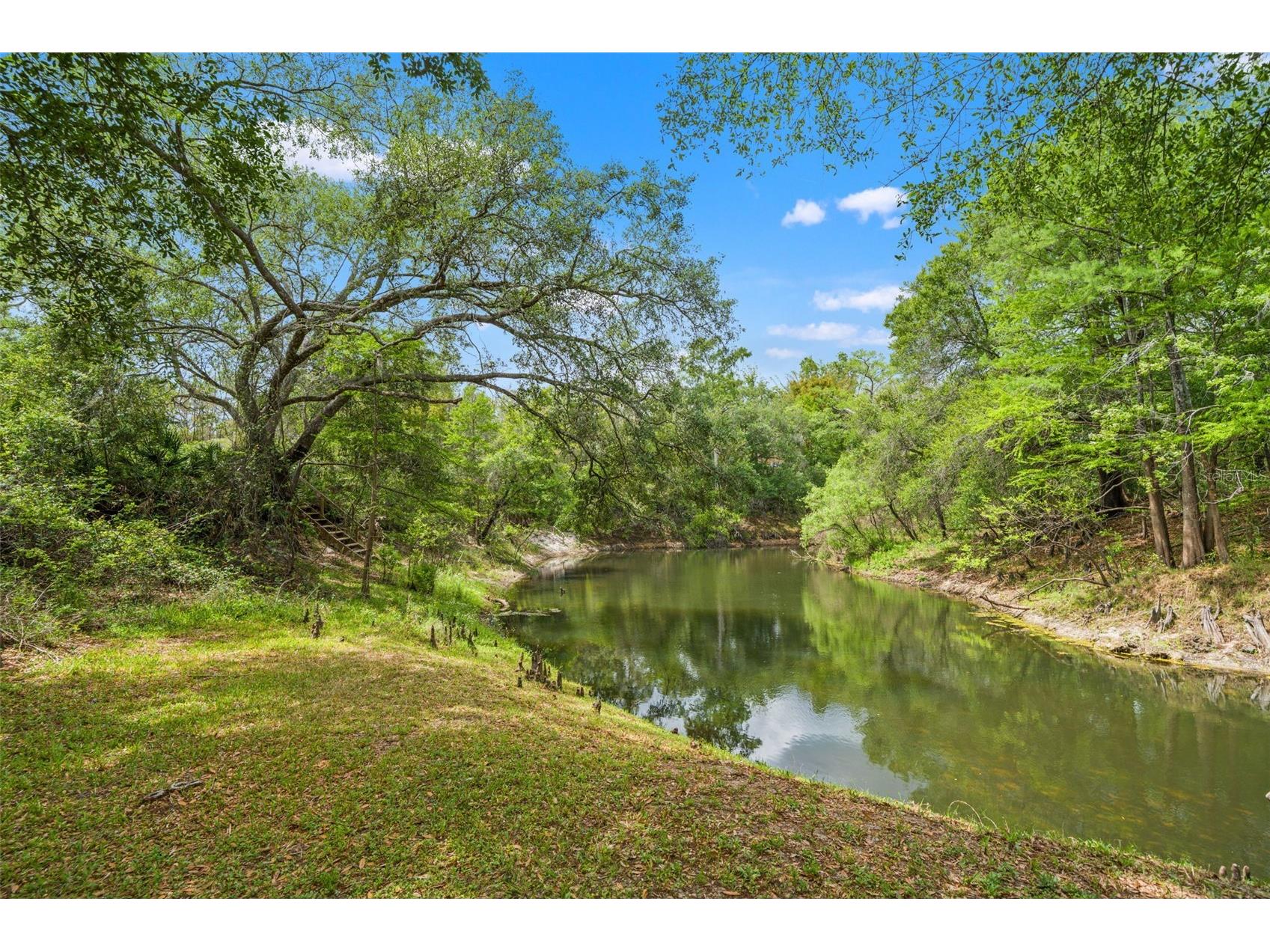 33013 Round Table Road Ridge Manor FL 33523 - WITHLACOOCHEE TB8495003 image1