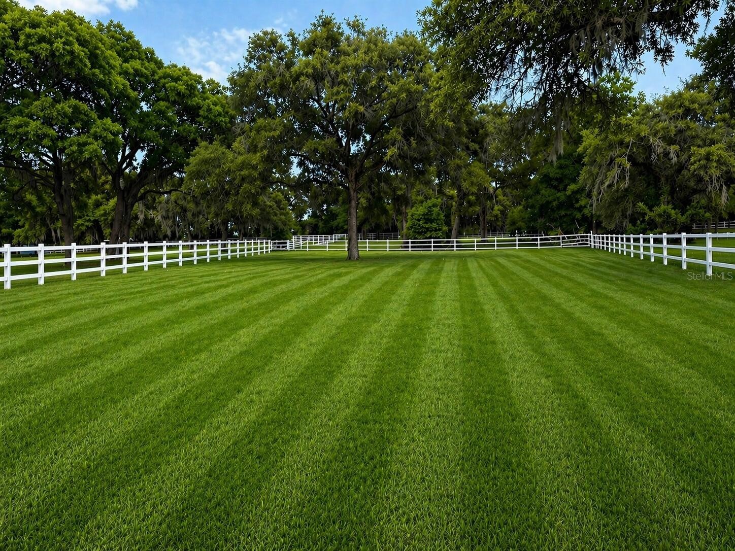 33015 Sahara Court Sorrento FL 32776 O6398415 image5