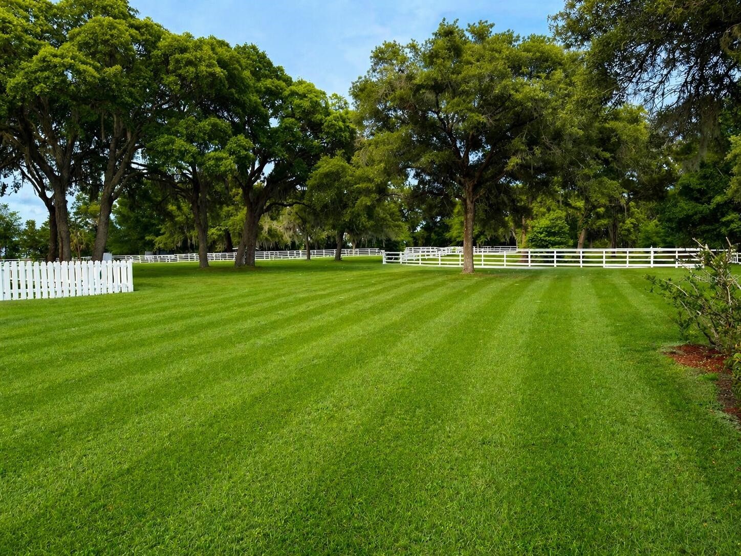 33015 Sahara Court Sorrento FL 32776 O6398415 image7