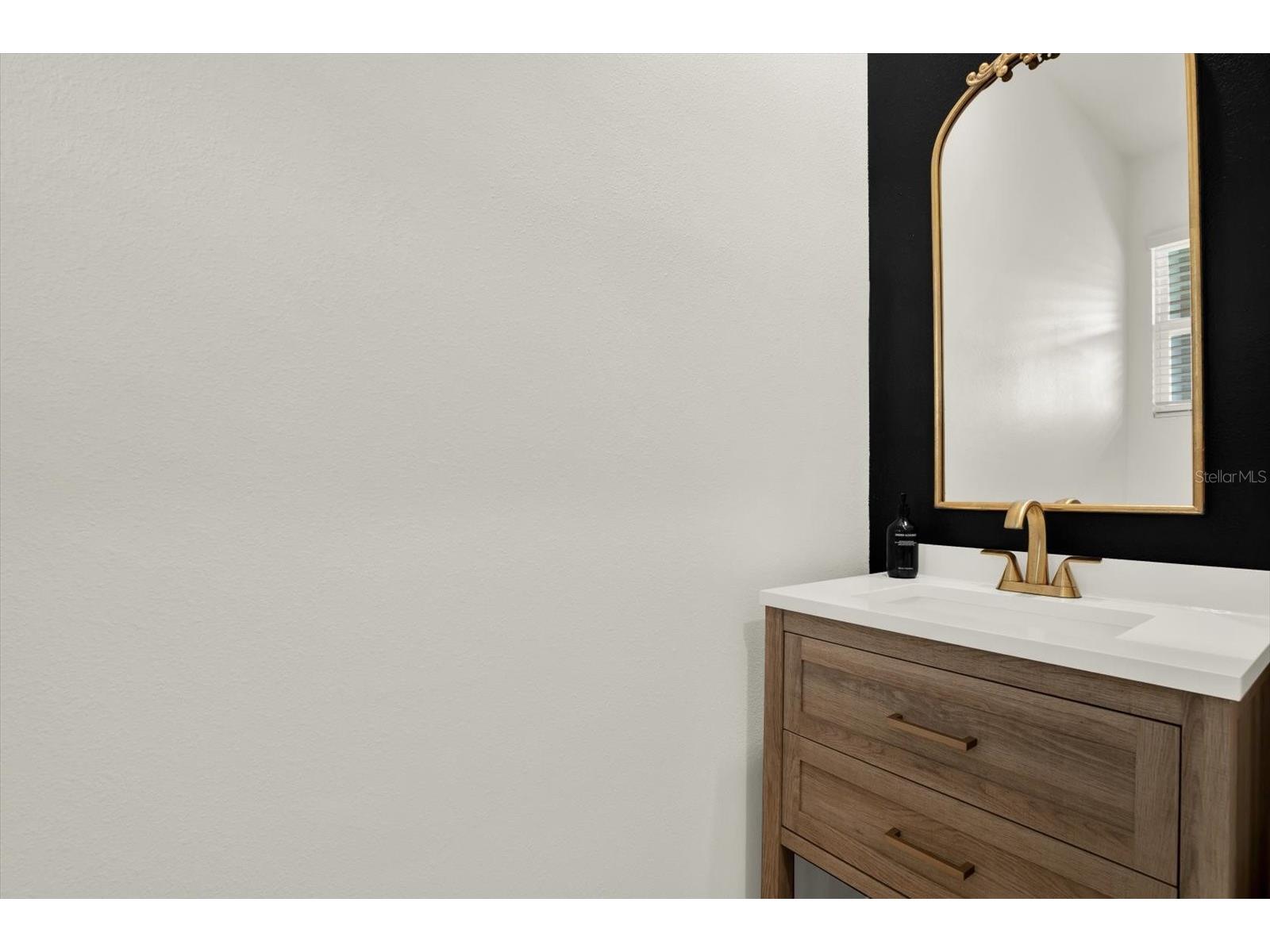 33018 Frosted Clover Way Wesley Chapel FL 33545 TB8462052 image10