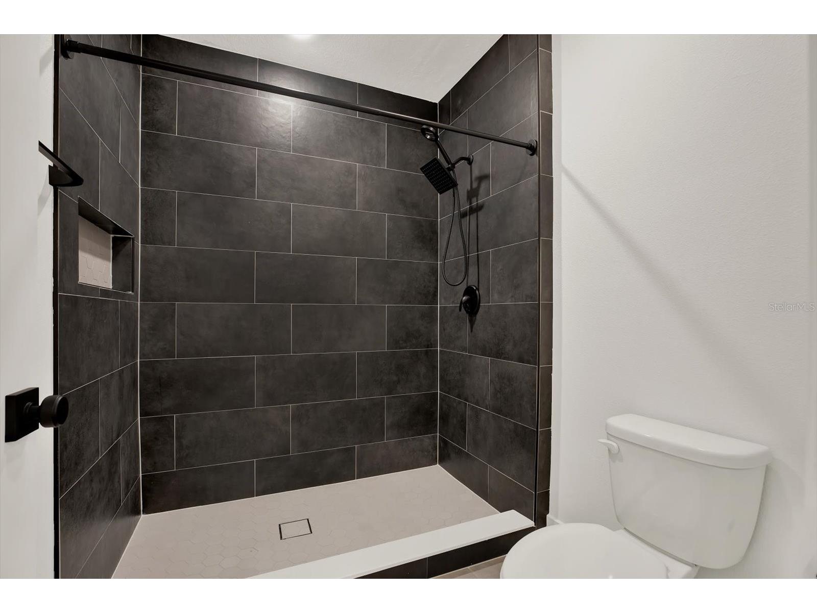 33018 Frosted Clover Way Wesley Chapel FL 33545 TB8462052 image19