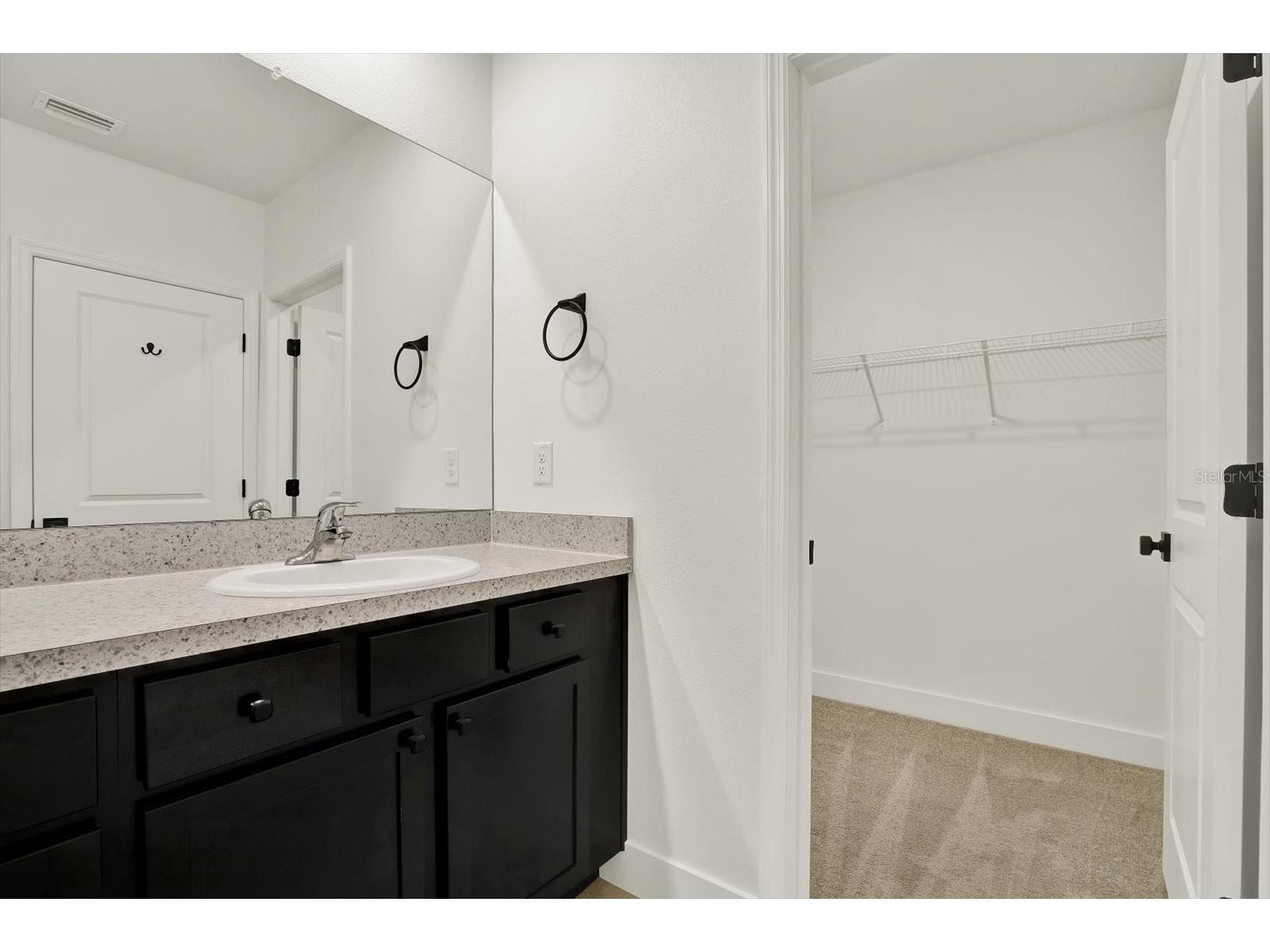 33018 Frosted Clover Way Wesley Chapel FL 33545 TB8462052 image21